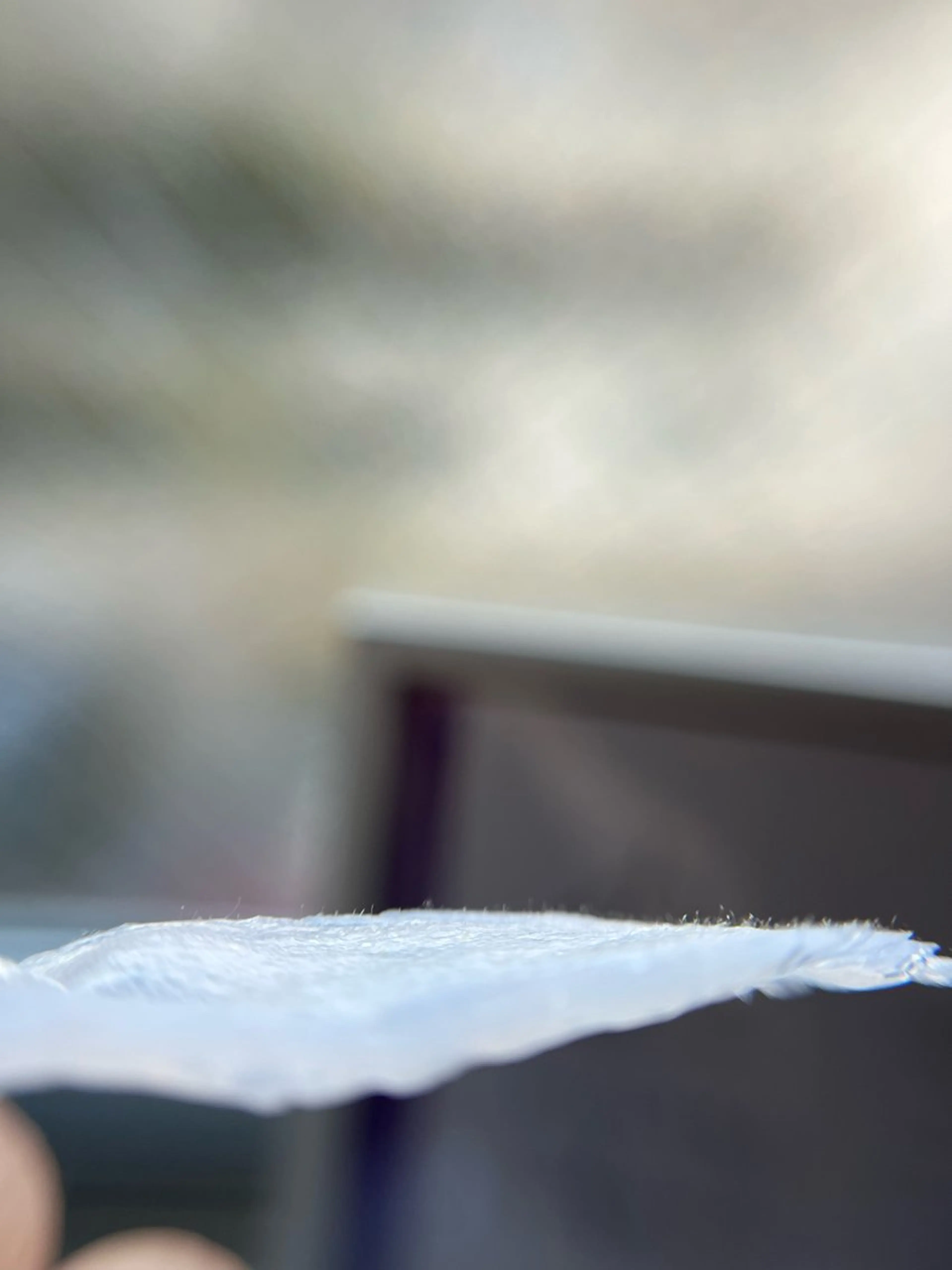 脱毛 mof.(モフ) Horieのその他イメージ