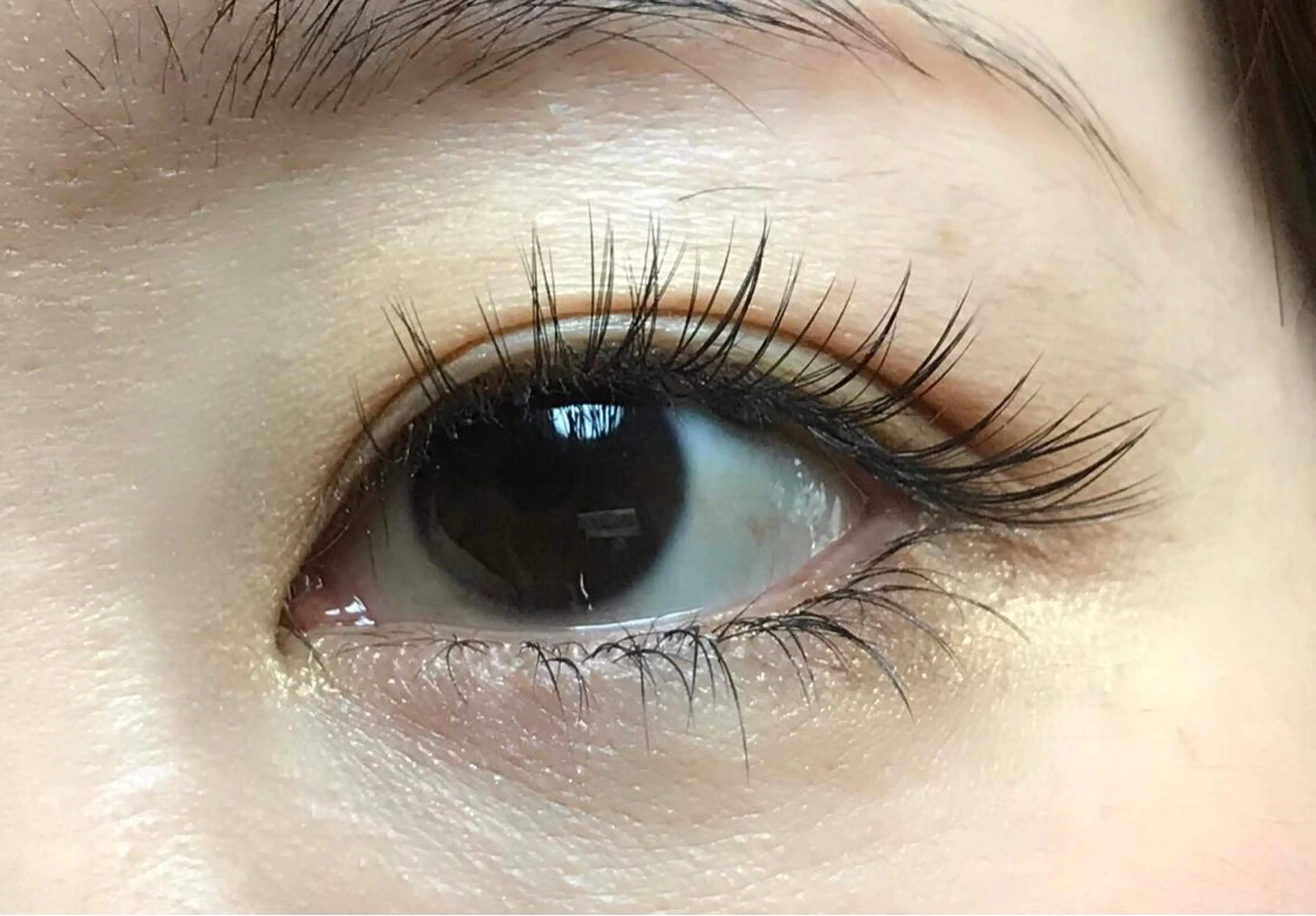 マツエク・マツパ 付け放題 Cカール Jカール セーブル maru◎maru所属・maru◎ maruのマツエク・マツパデザイン