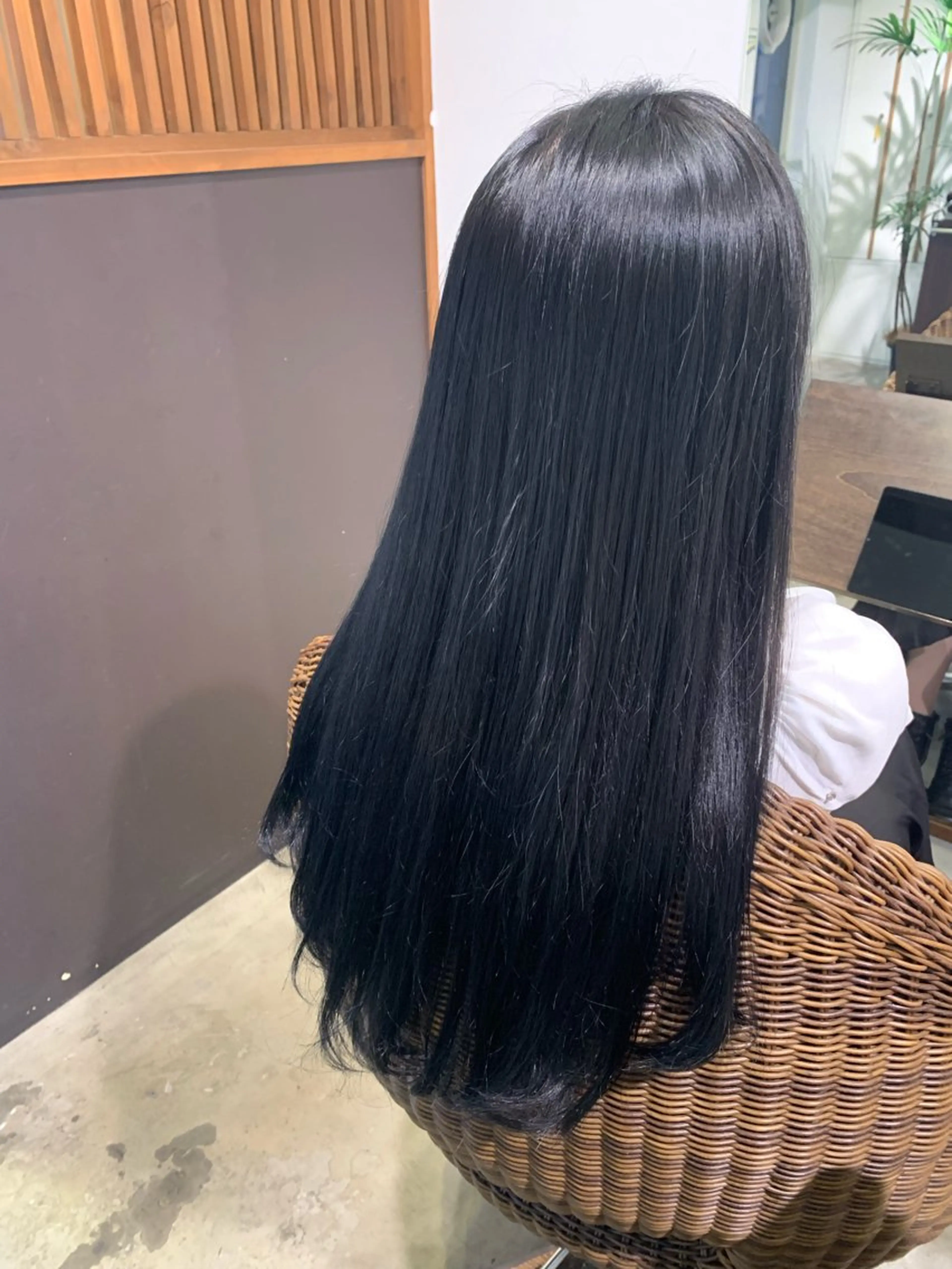 ワンカラーの写真