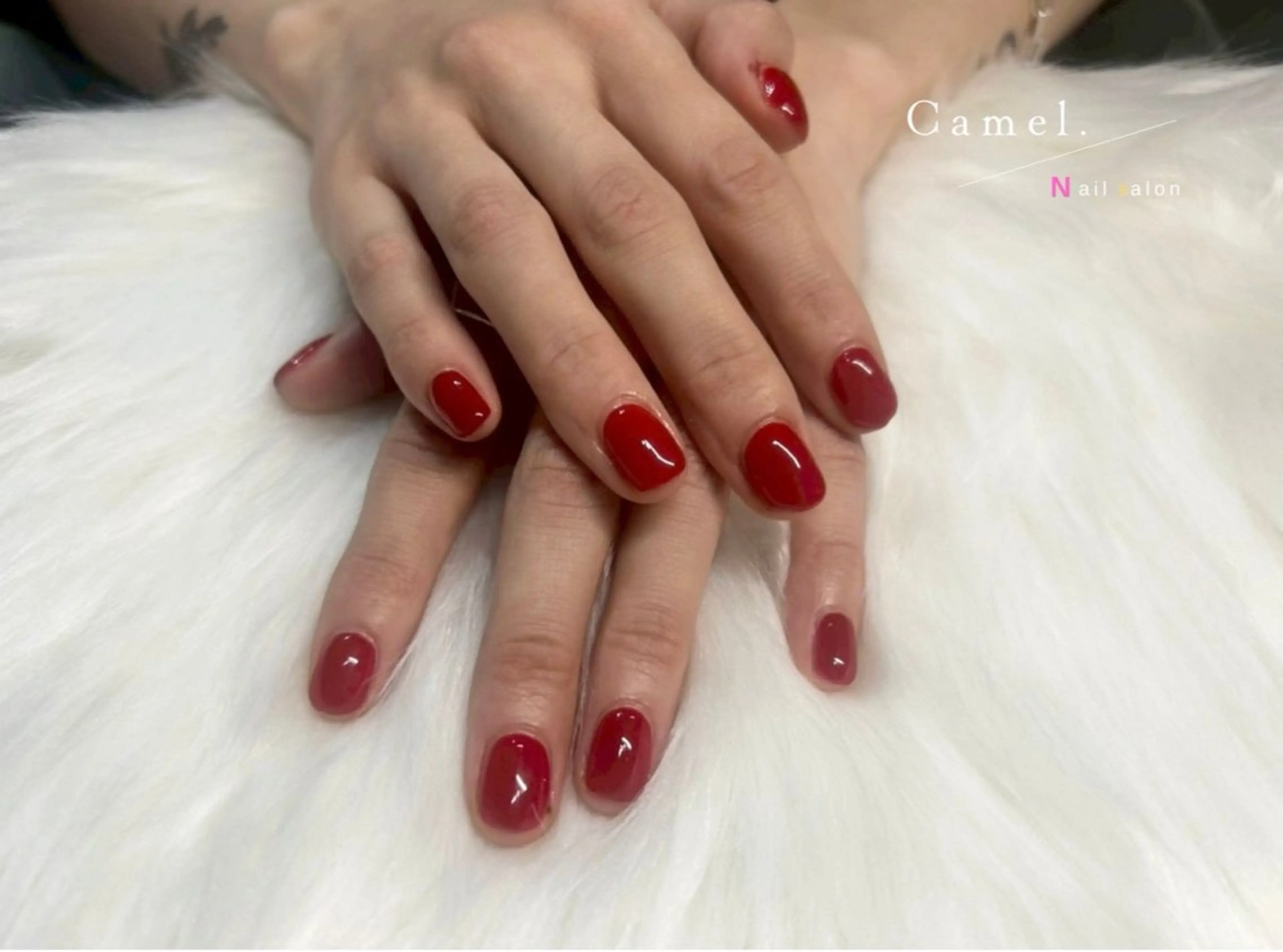 ネイル ハンドネイル Camel. YUIのネイルデザイン