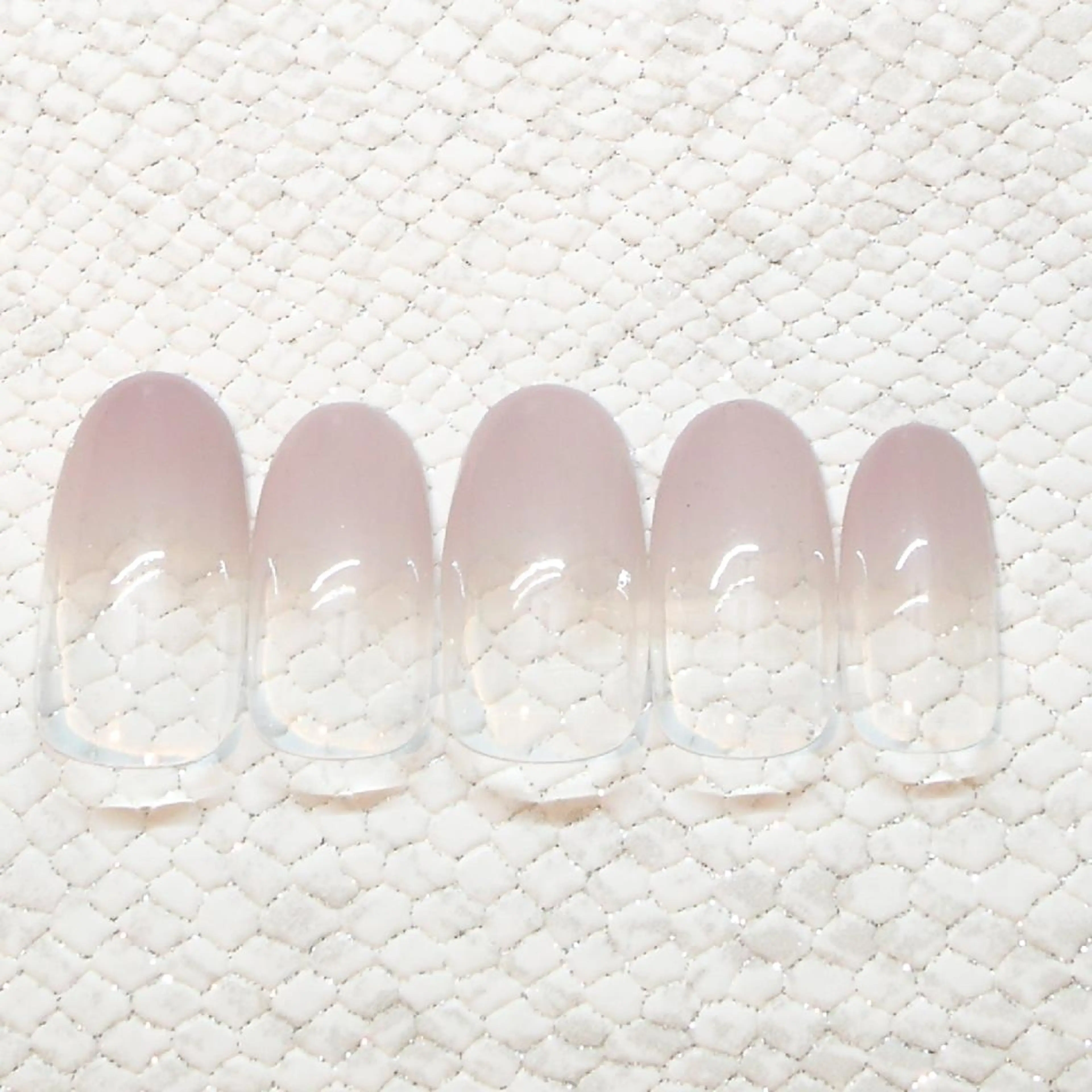 カラーグラデーションの写真