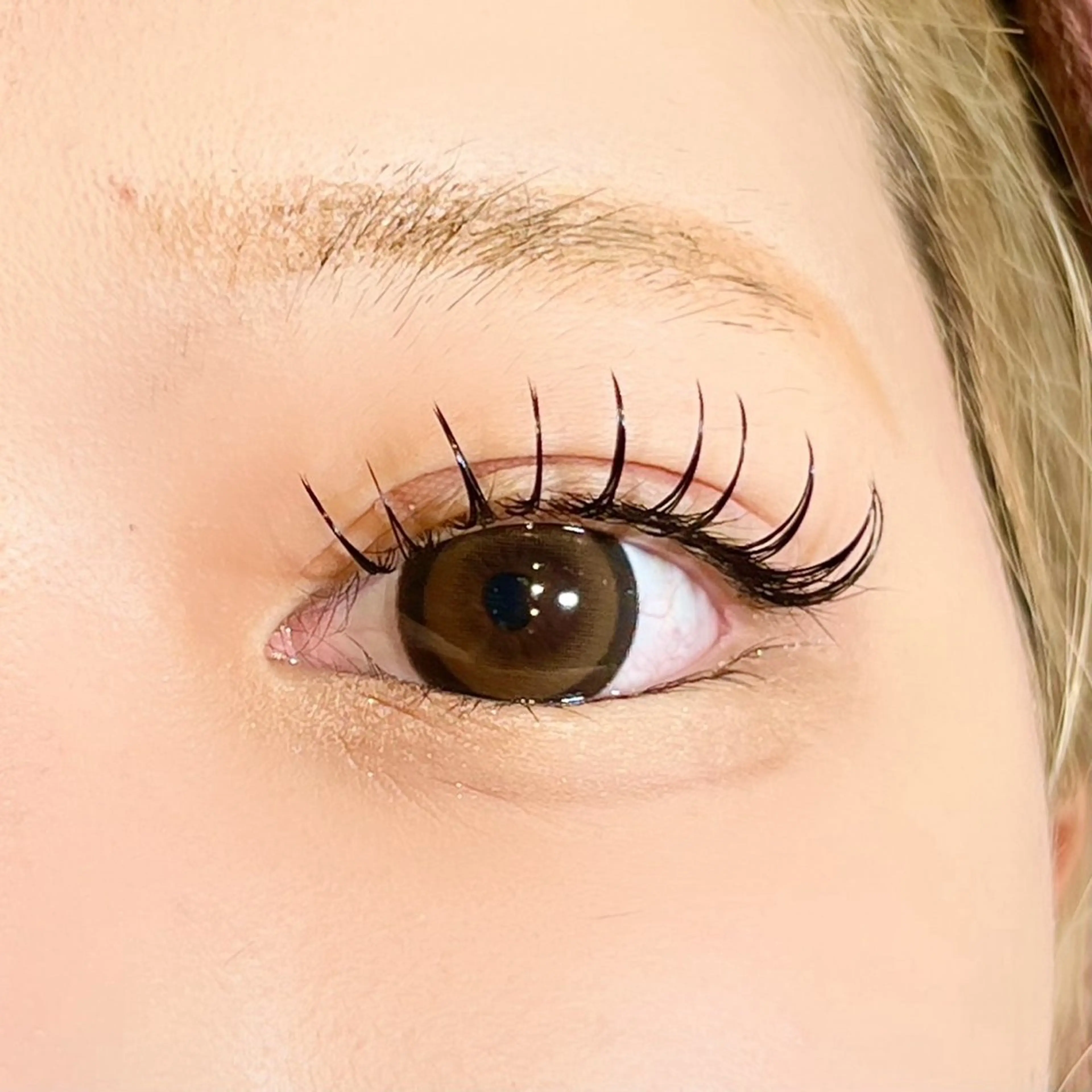 フラットラッシュ 付け放題の写真