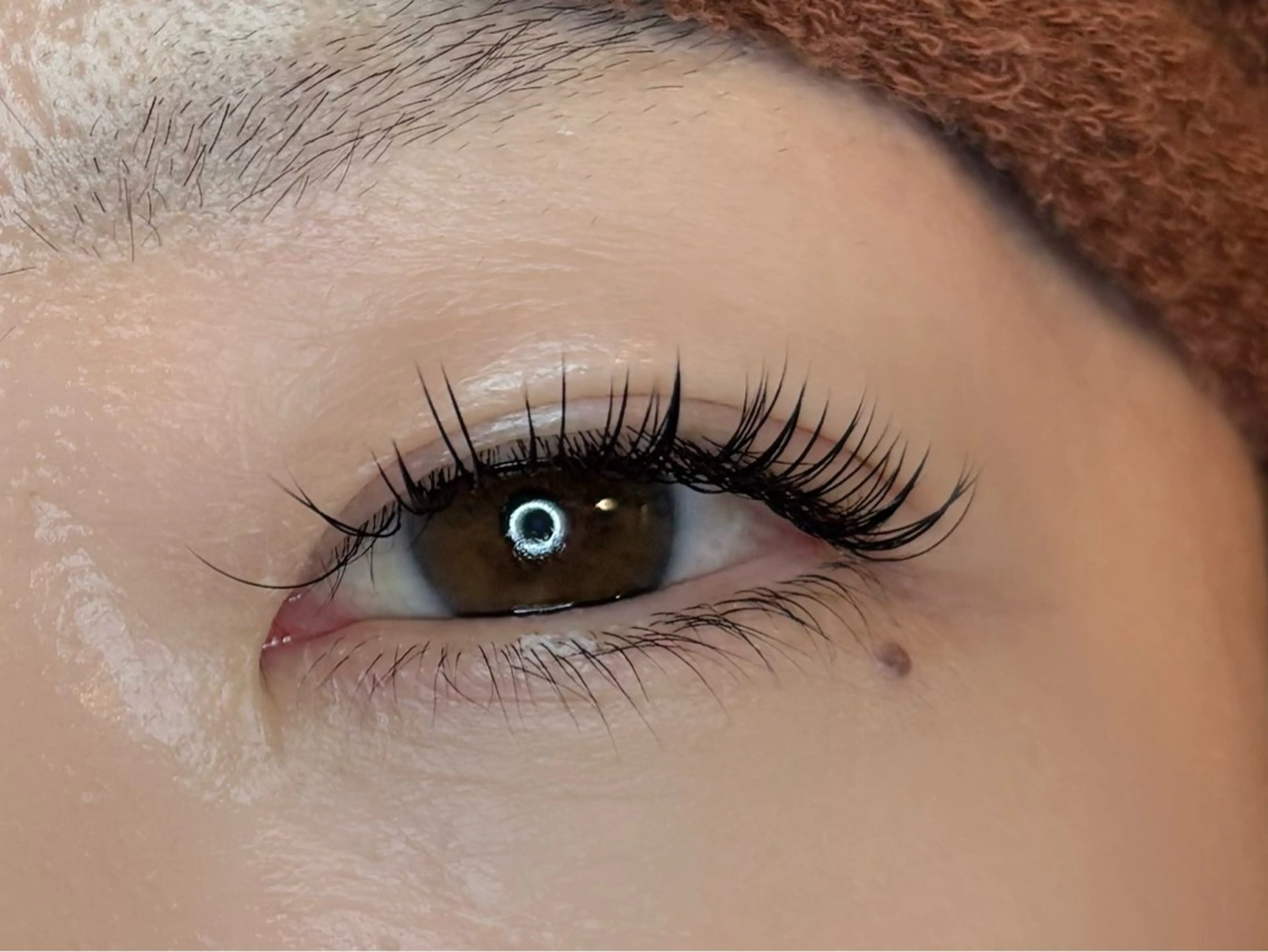 🦋【LEDまつ毛エクステ】リペア100本🦋の写真