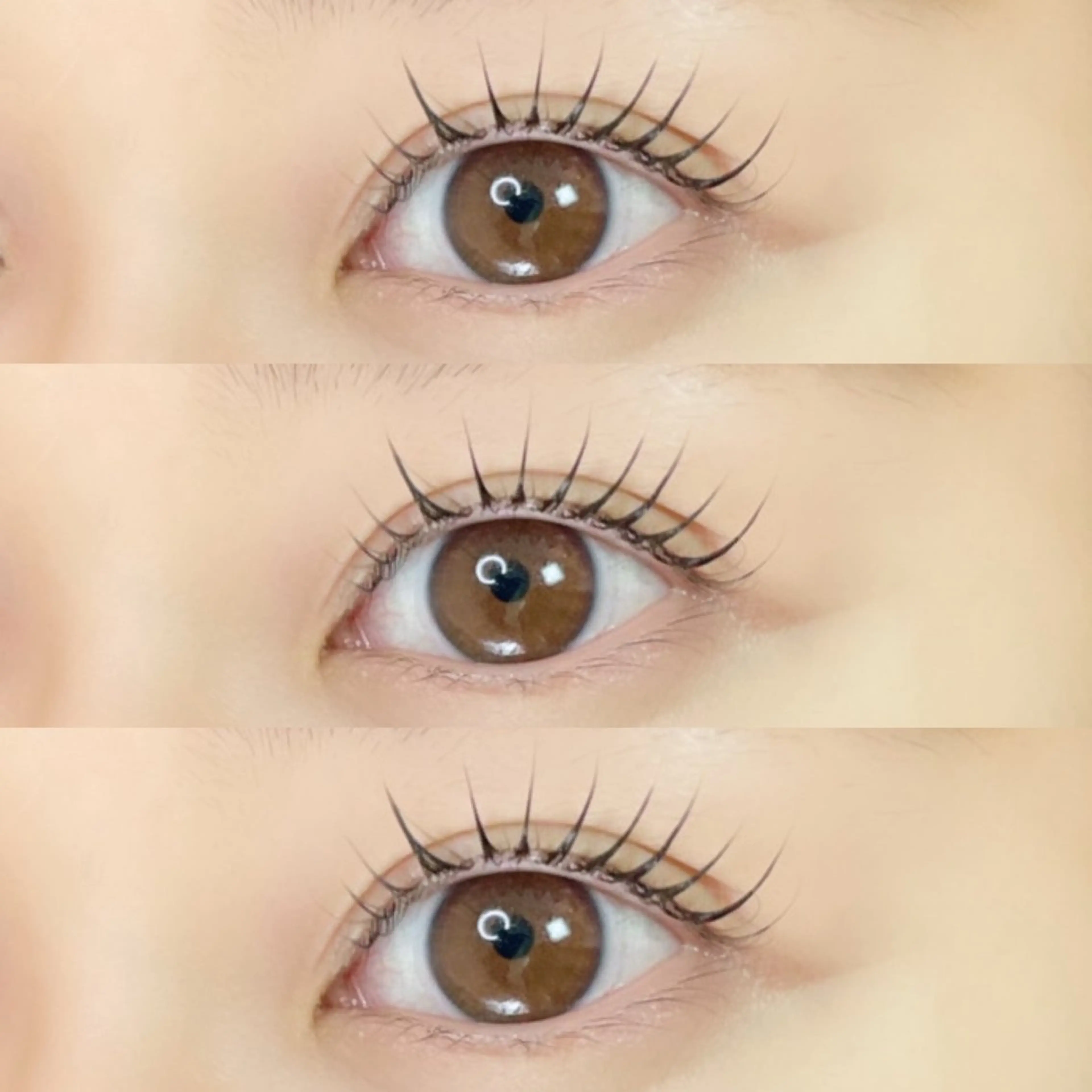 根本からとにかく上がると話題‼️【パリジェンヌラッシュリフト】(コーティング付き)の写真