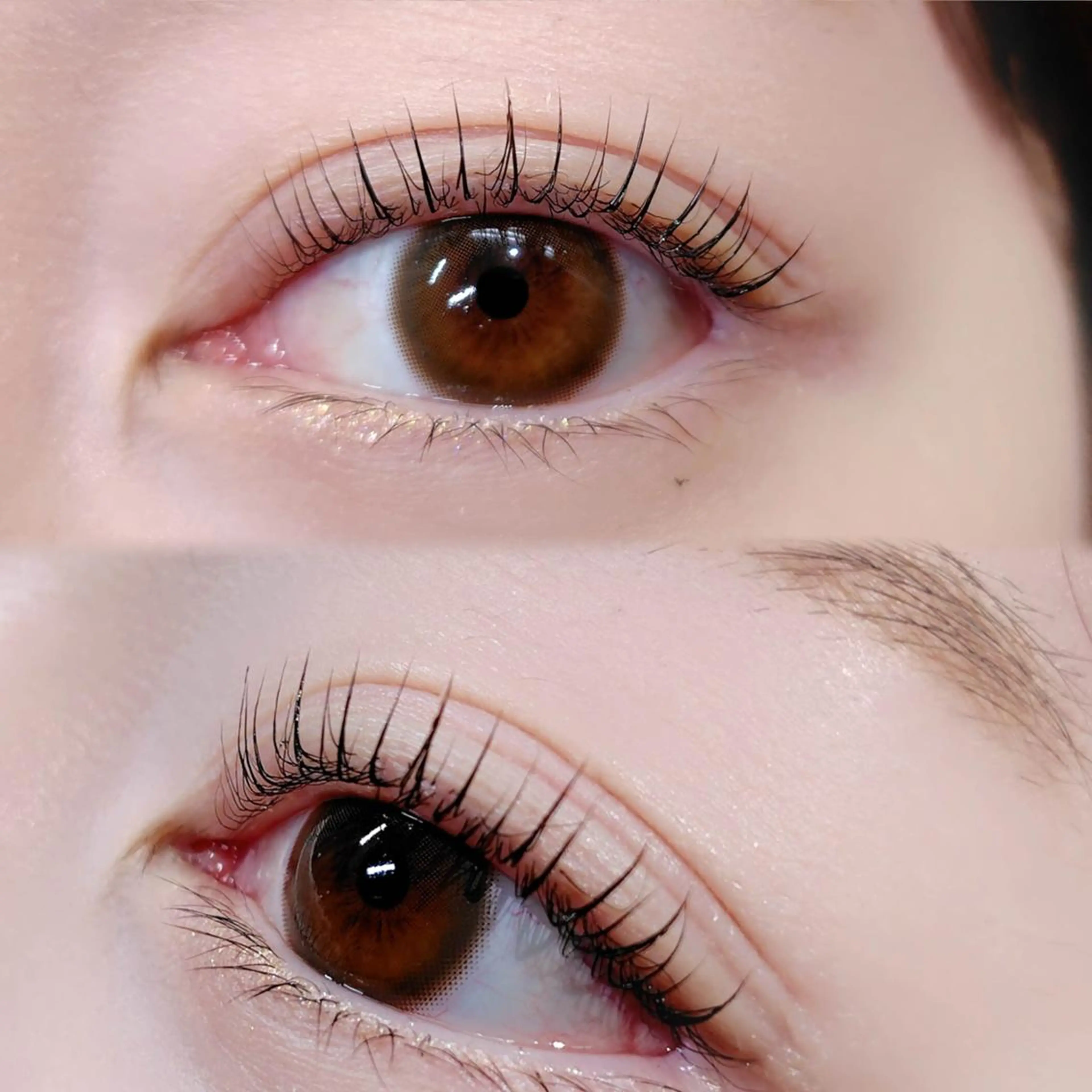 マツエク・マツパ Dカール まつげパーマ専門店 シャルナ　上野店のマツエク・マツパデザイン