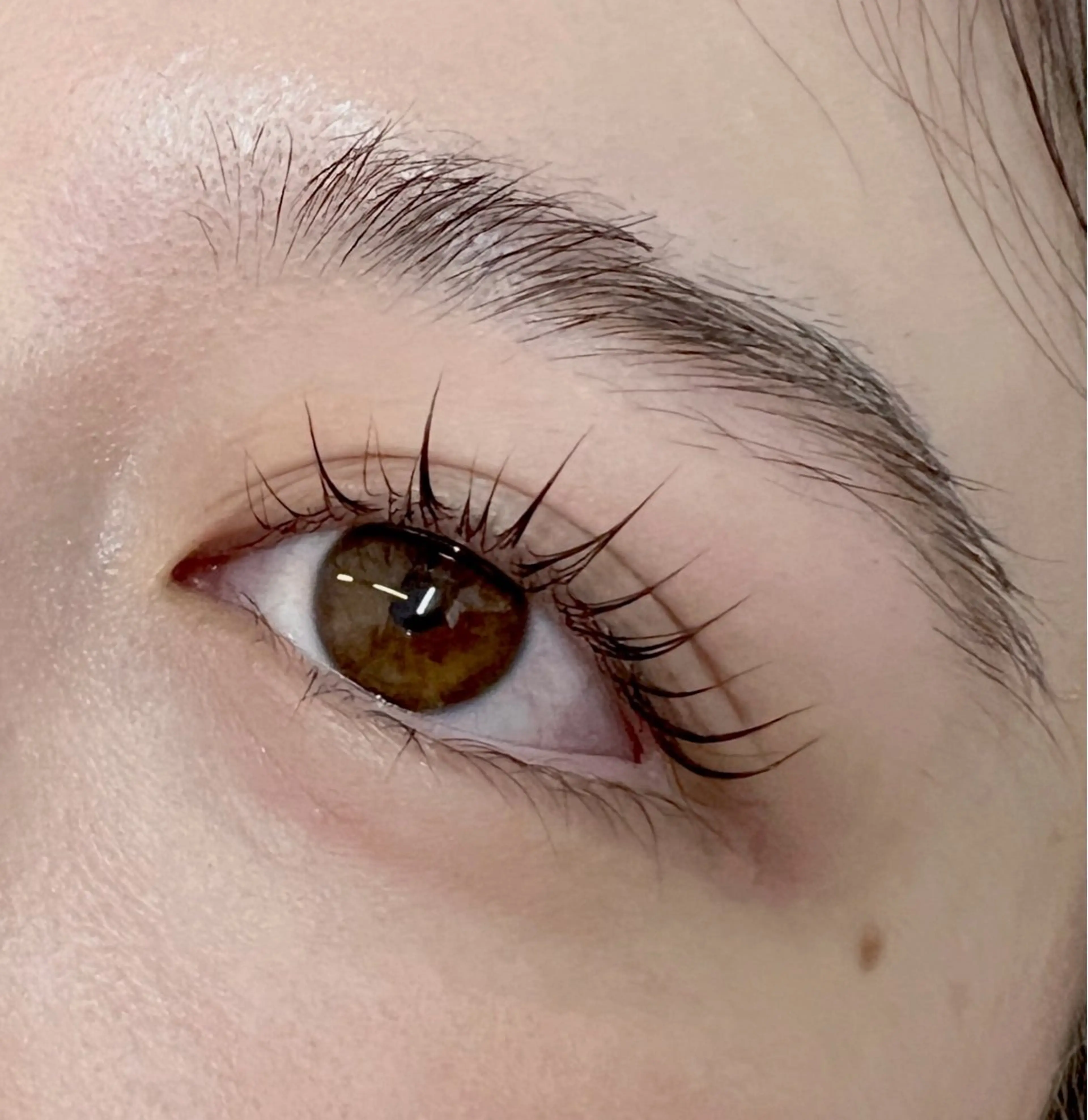 マツエク・マツパ ナチュラル パリジェンヌラッシュリフト マツパ Maria 🫧のマツエク・マツパデザイン