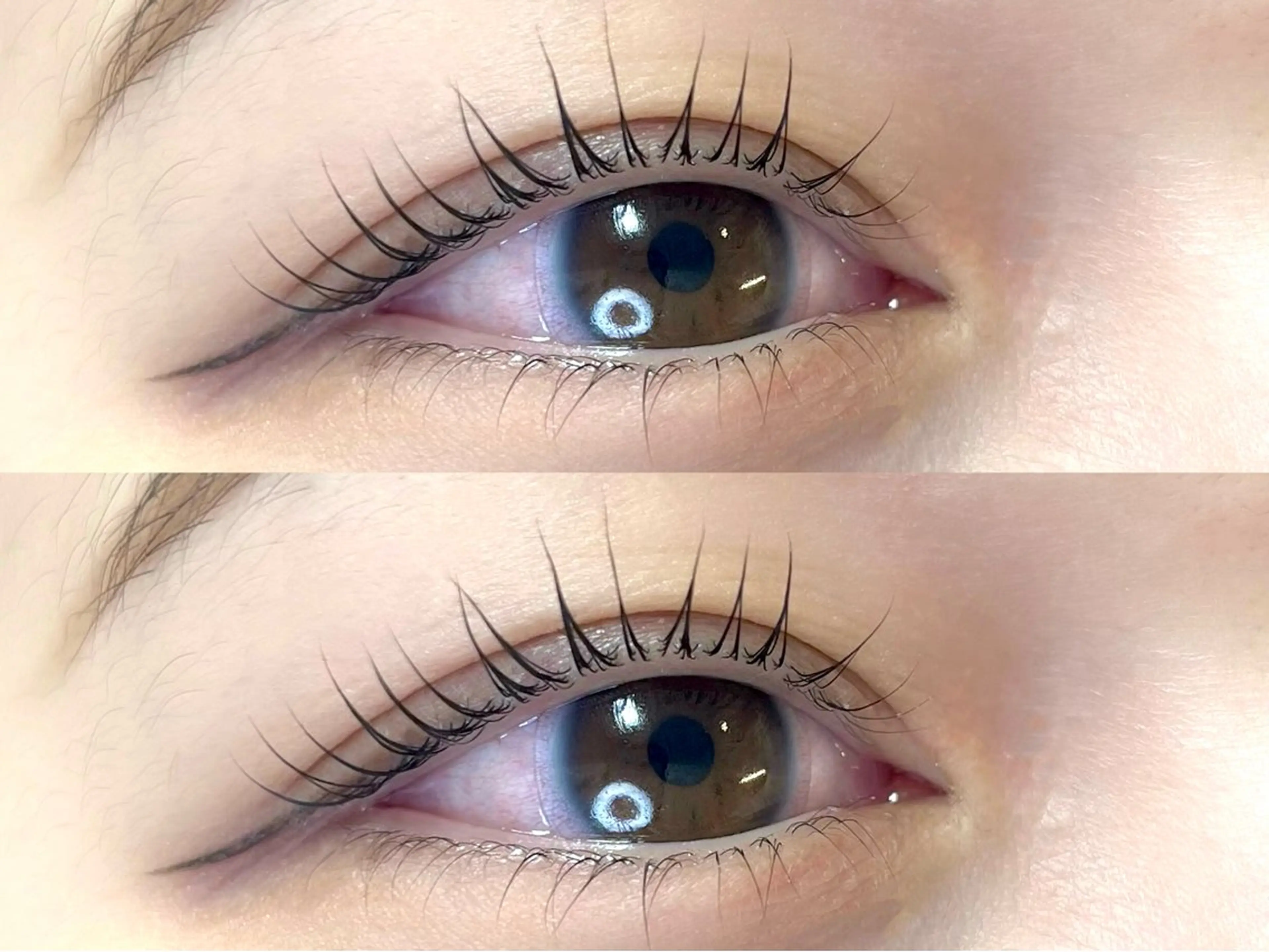 【人気No.1】上下ラッシュリフトorパリジェンヌ☆選べるパーマ☆アイシャンプー、コーティング付き✴︎の写真