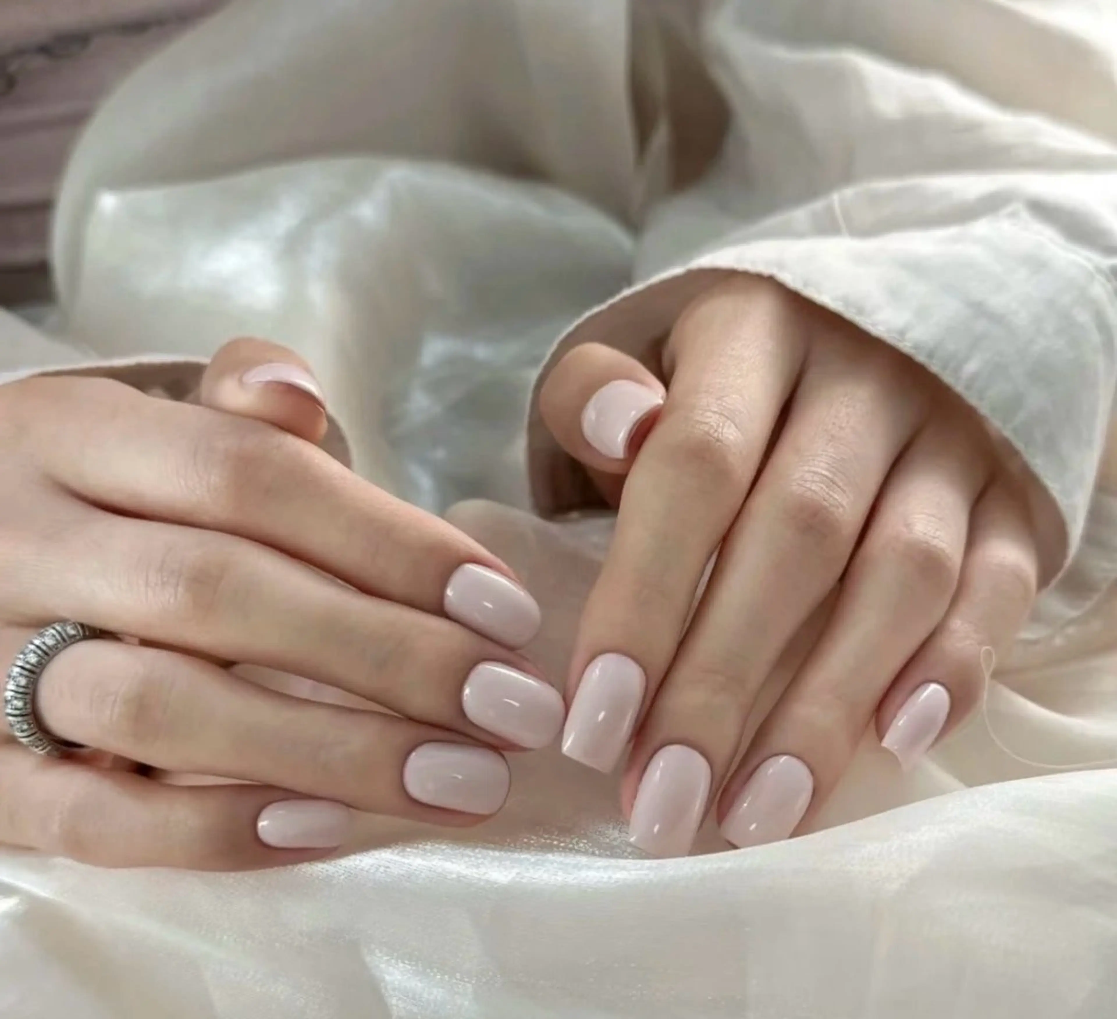 ワンカラーの写真