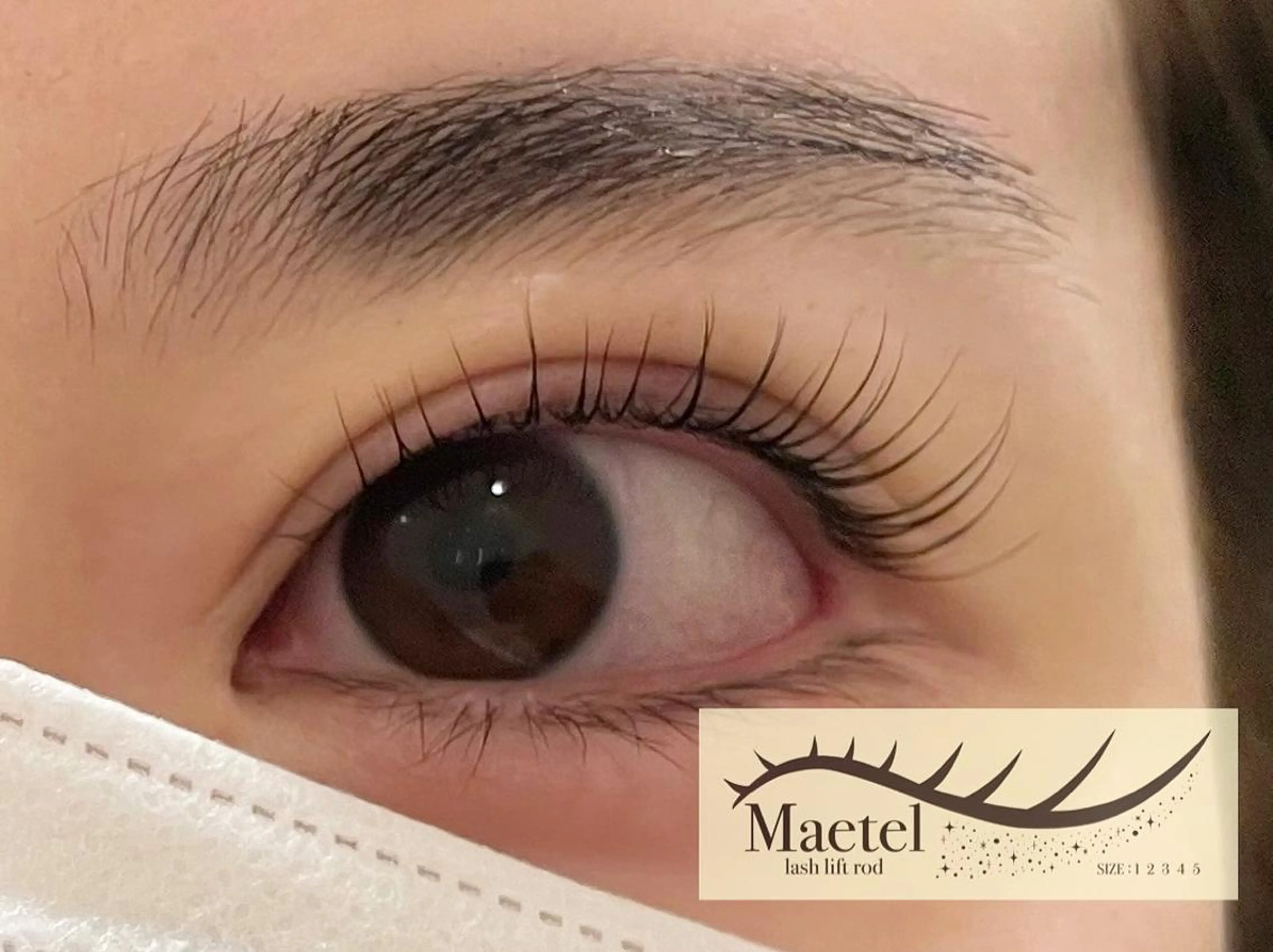 マツエク・マツパ LEDマツエク/ アイブロウ/石原の眉毛・アイブロウイメージ