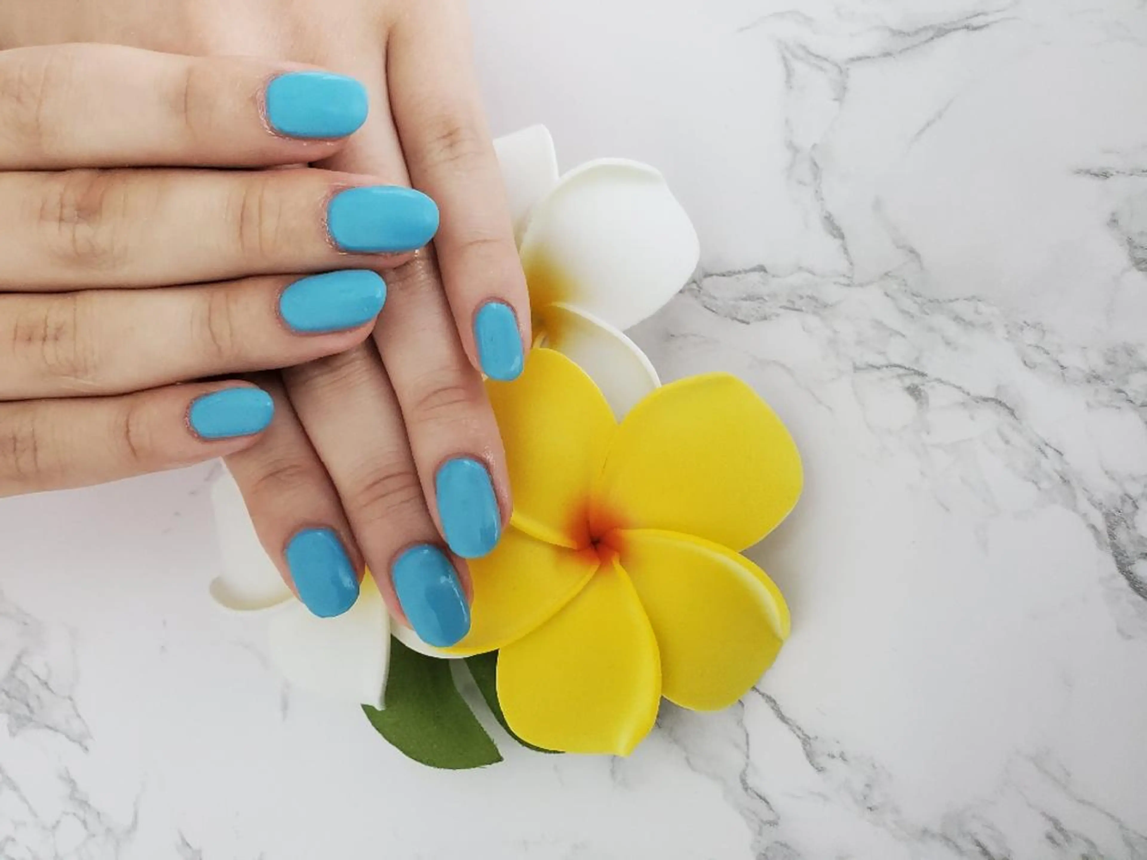 ネイル マットネイル ワンカラーネイル Lea,Nail所属・松橋 愛のネイルデザイン