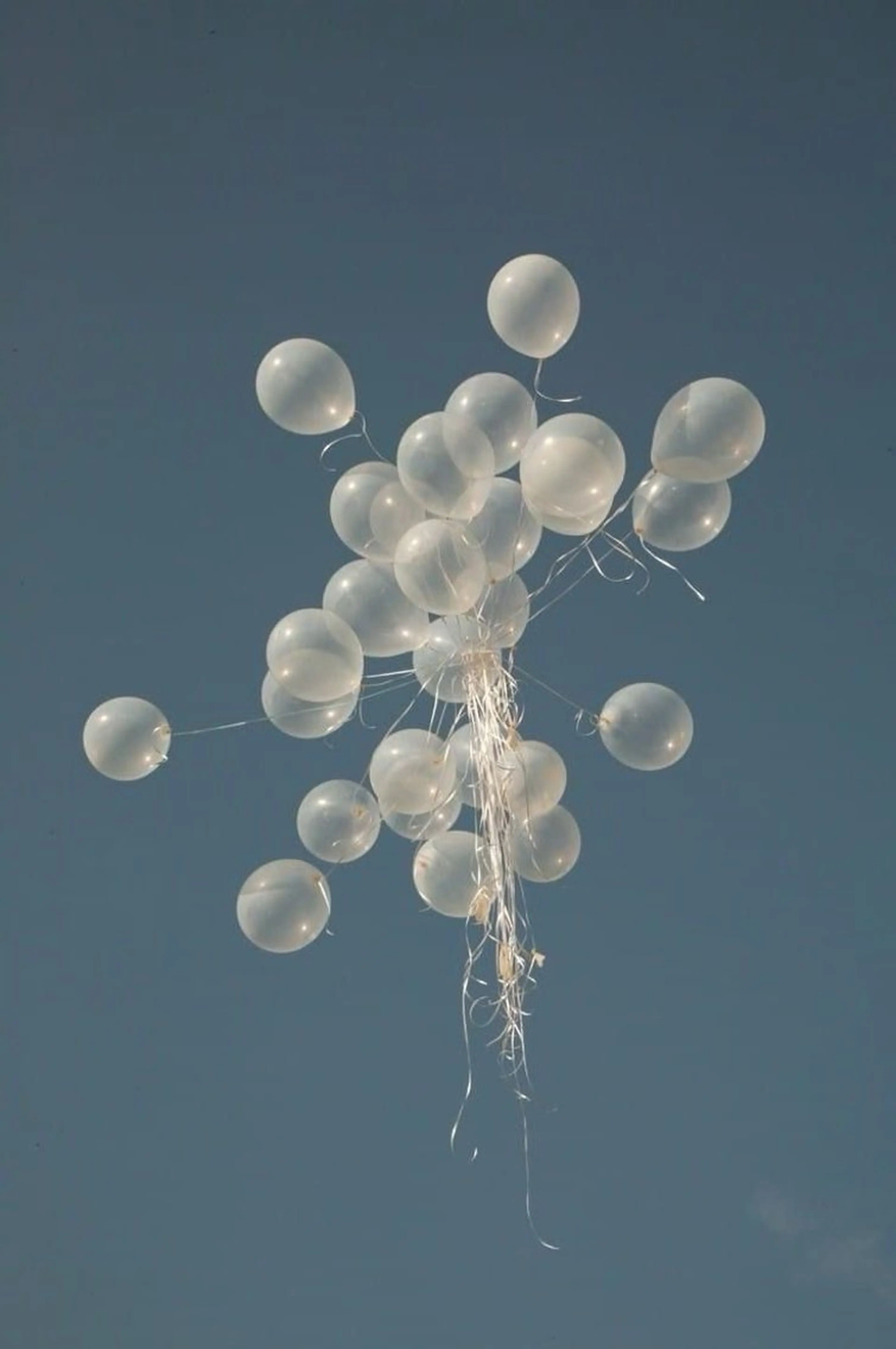 マツエク・マツパ マツパ 🩶バインドロック まつパ🩶由佳の眉毛・アイブロウイメージ