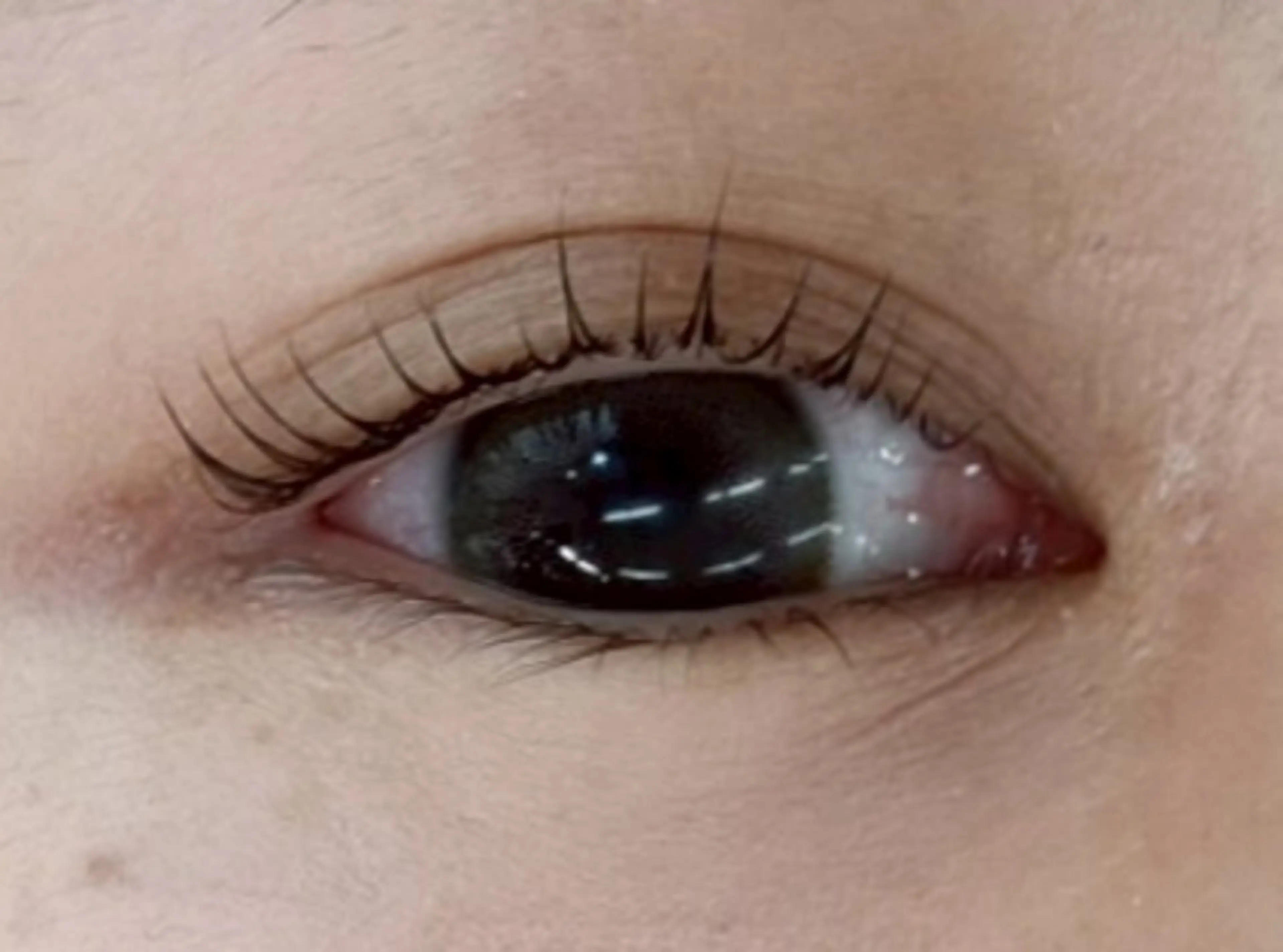 マツエク・マツパ 🫧🐰渋谷. INOUE🐰🫧の眉毛・アイブロウイメージ