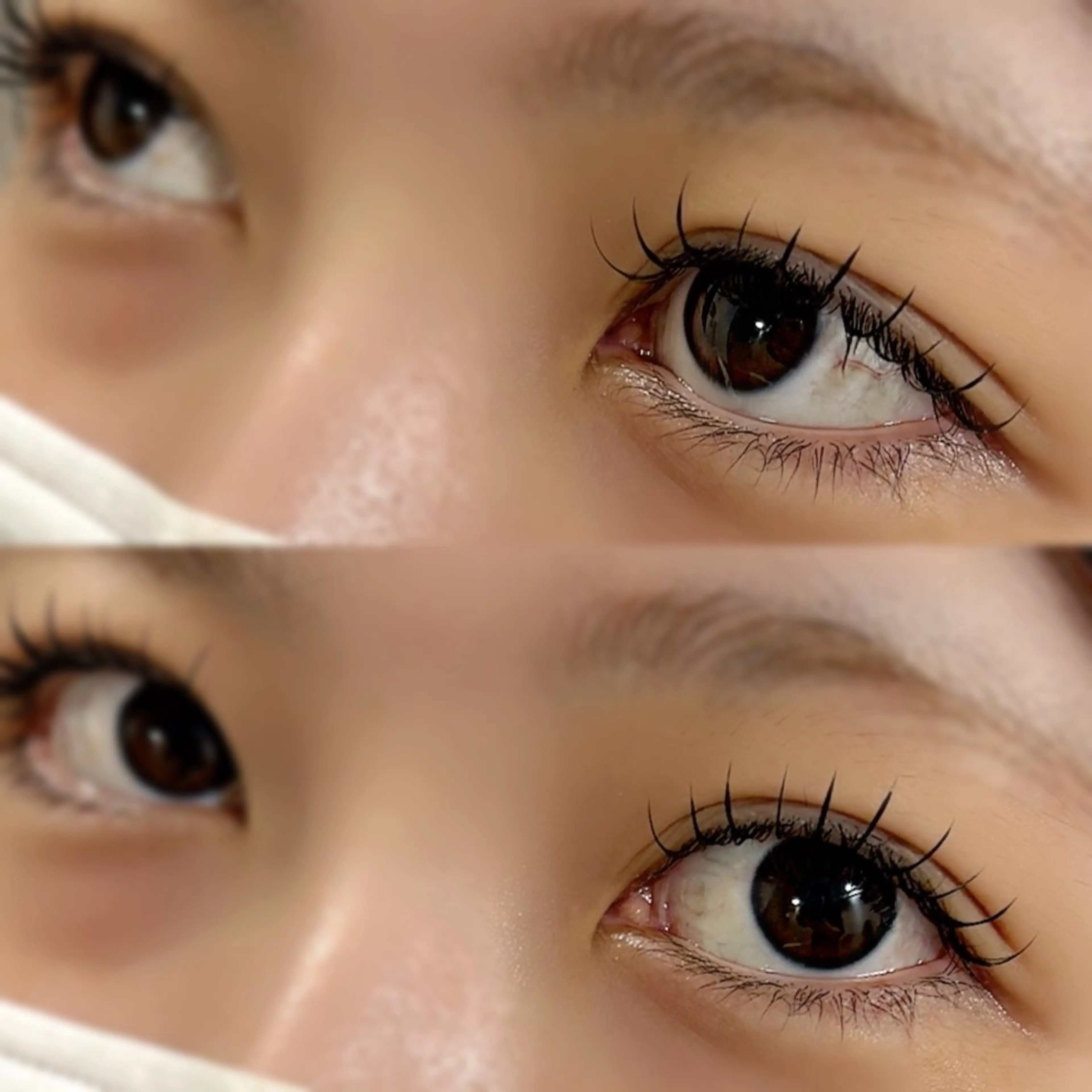 マツエク・マツパ Dカール マツエク Alicetokyo 三師のマツエク・マツパデザイン