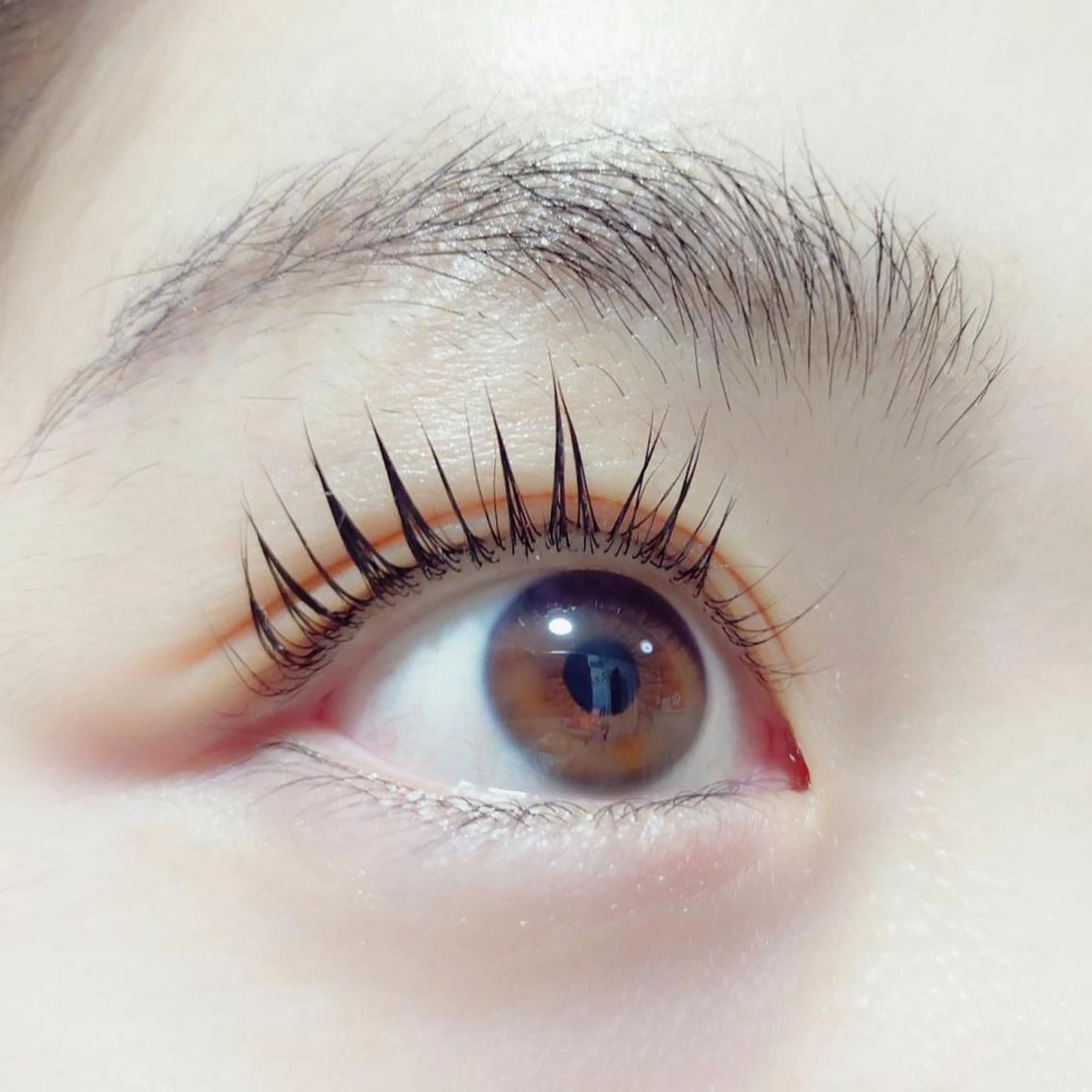 マツエク・マツパ マツパ INS Beauty 池袋のマツエク・マツパデザイン