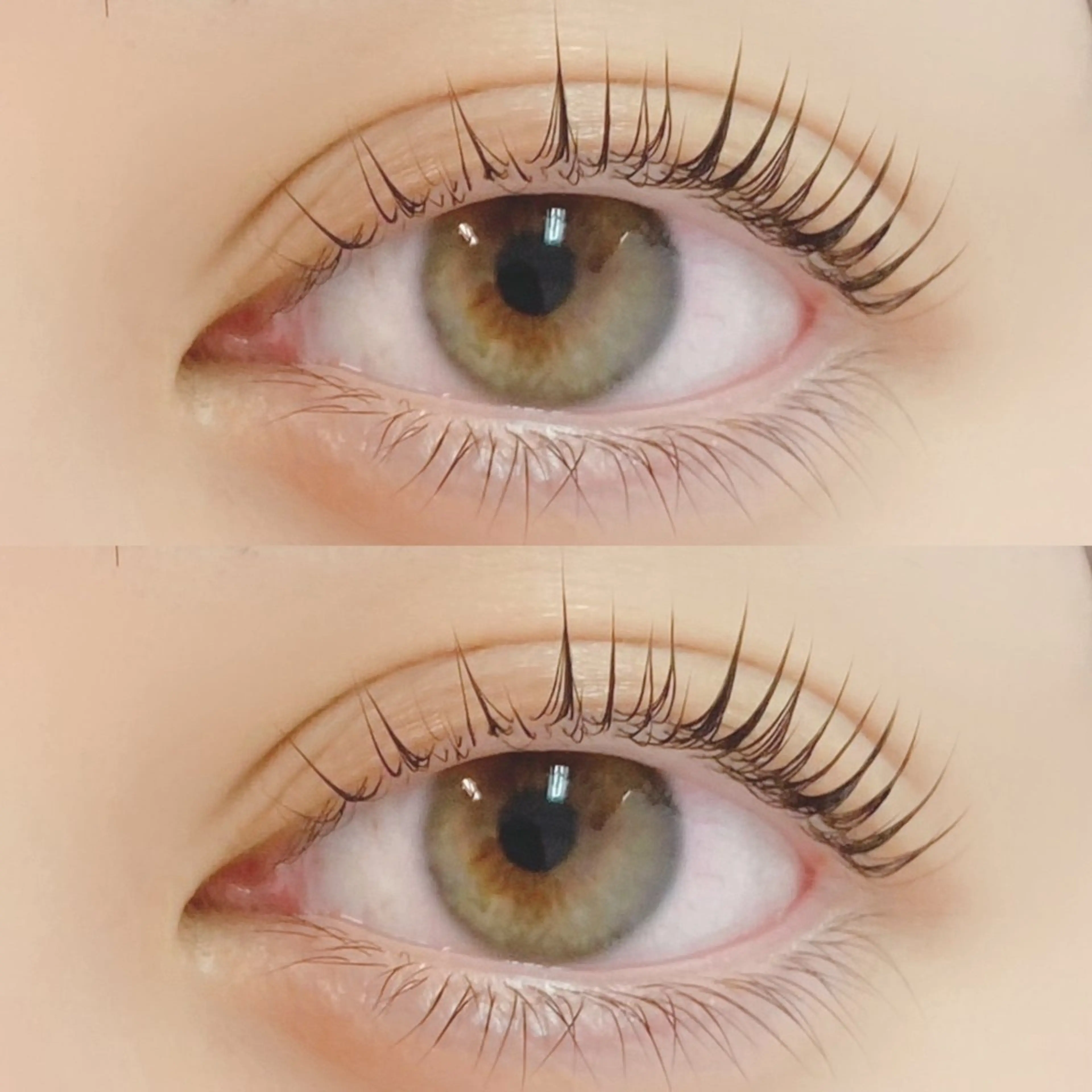 【ミニモ学割U24🎓✨】まつ毛パーマ(上のみ) 所要時間60分　横浜関内の写真