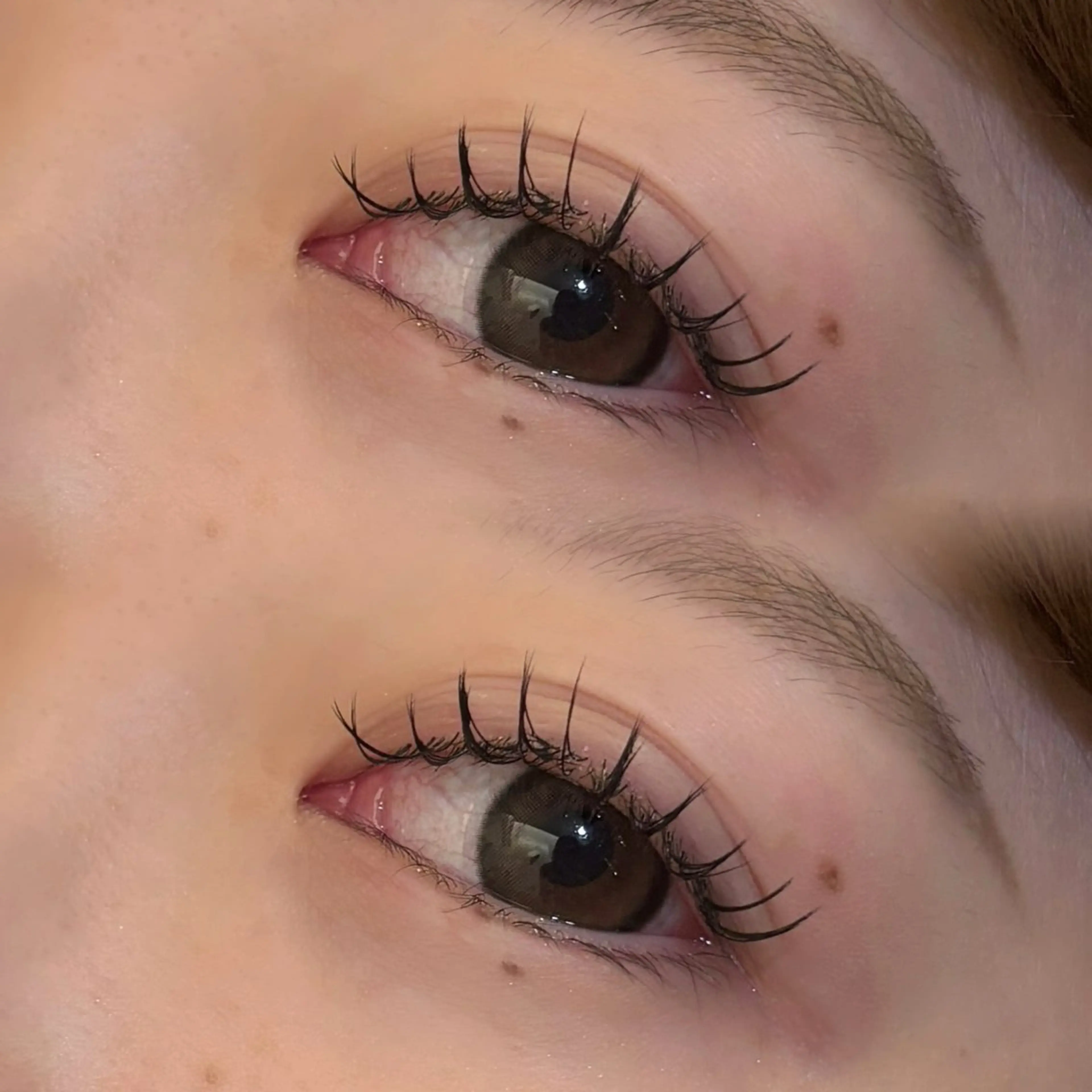 マツエク・マツパ カラーマツエク パリジェンヌラッシュリフト まつげパーマ 艶カラー♡/eye / mai🪐🪄のヘアスタイル