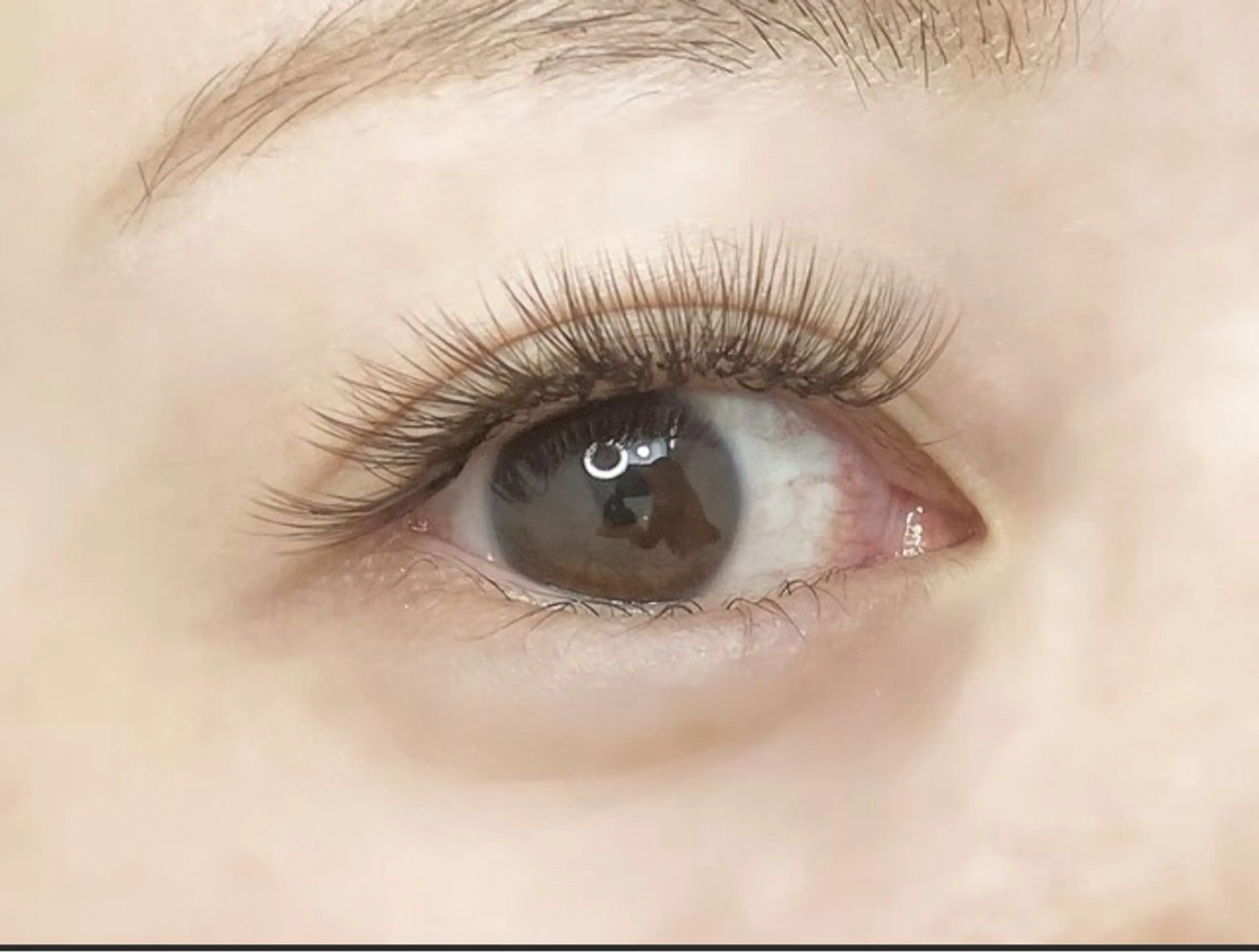 🩵LEDボリュームラッシュ🩵60束（オフなし）の写真