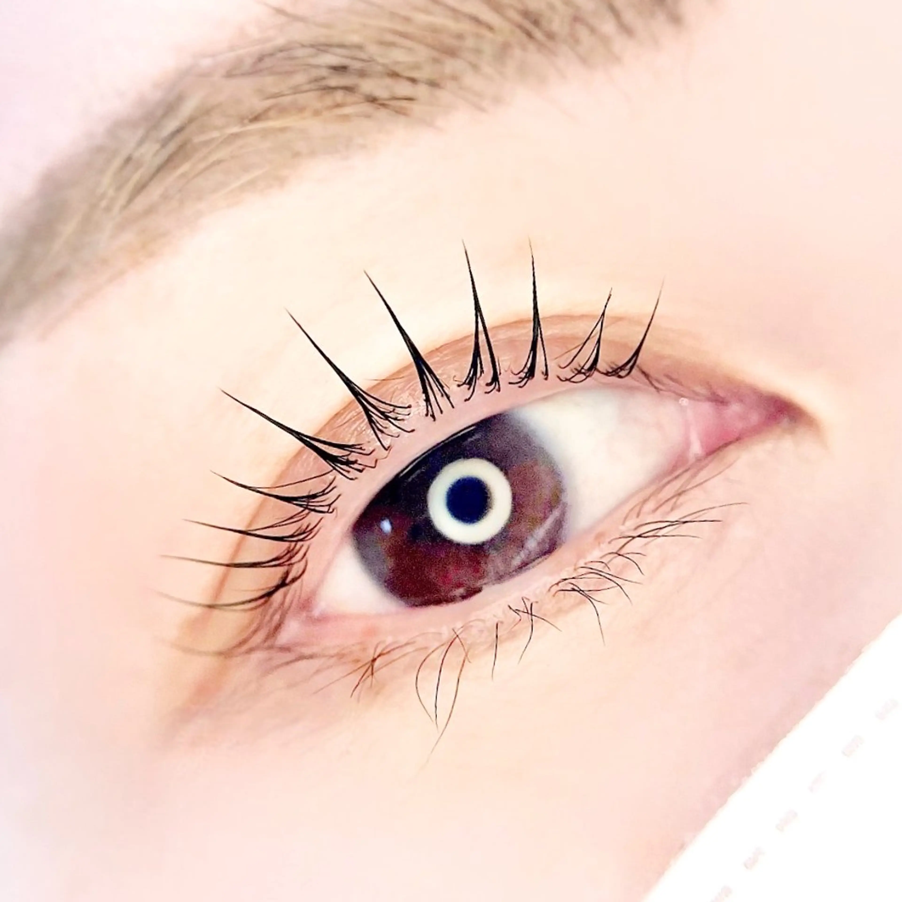 マツエク・マツパ マツパ eyelash salon.VIELのマツエク・マツパデザイン