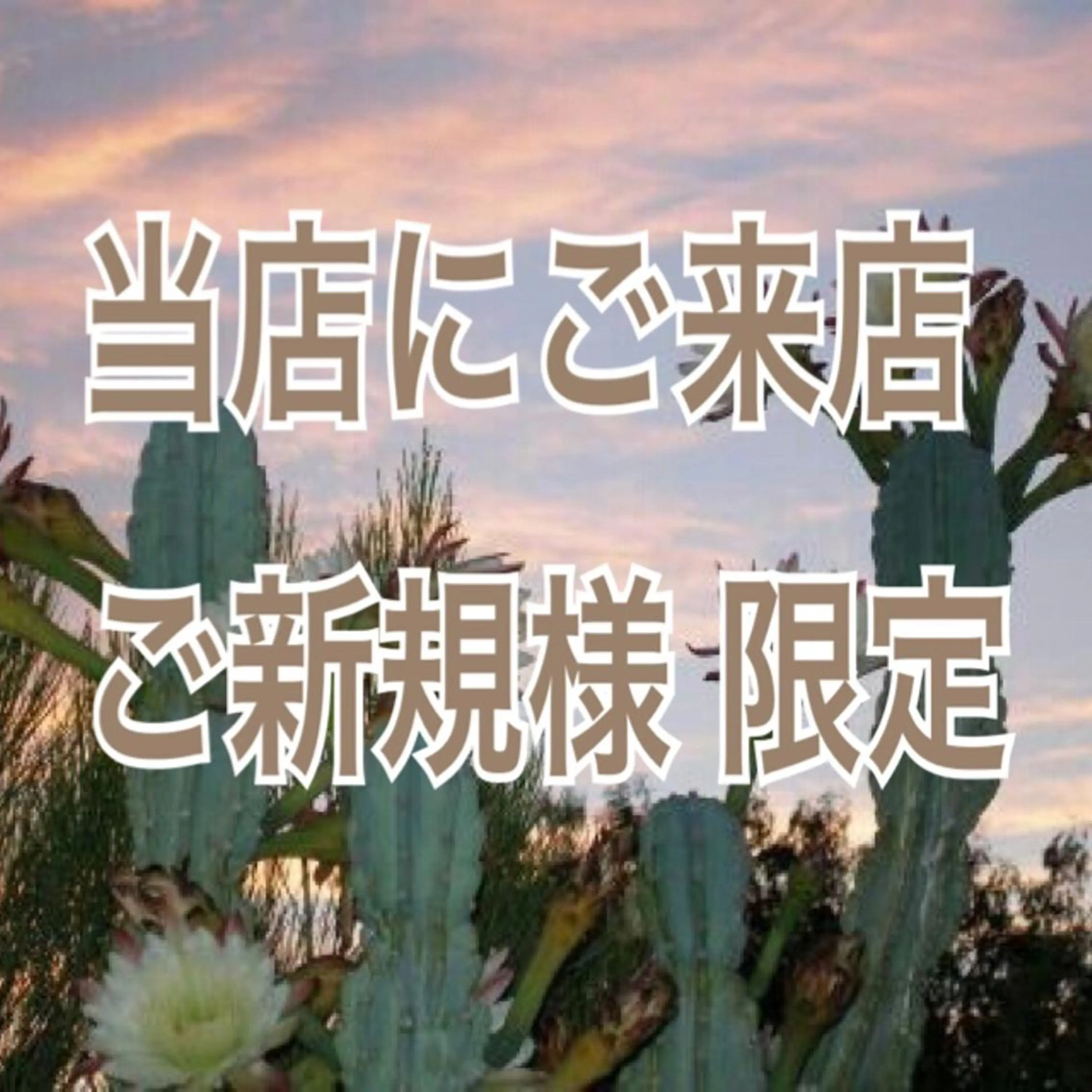 マツエク・マツパ 𝐉𝐎𝐋𝐈 アイリスト ❤︎のマツエク・マツパデザイン