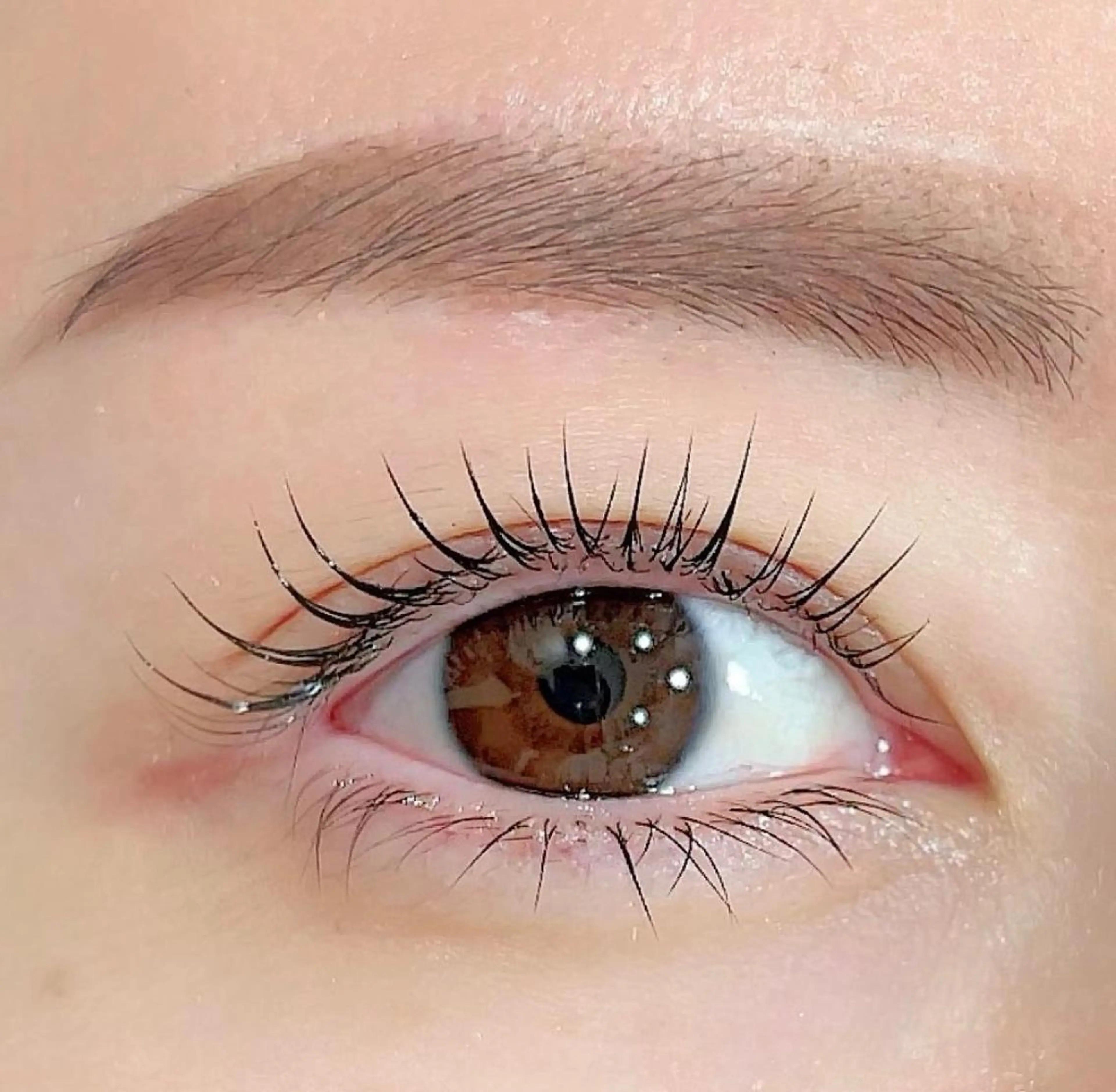 ラッシュリフト　コーティング無料の写真