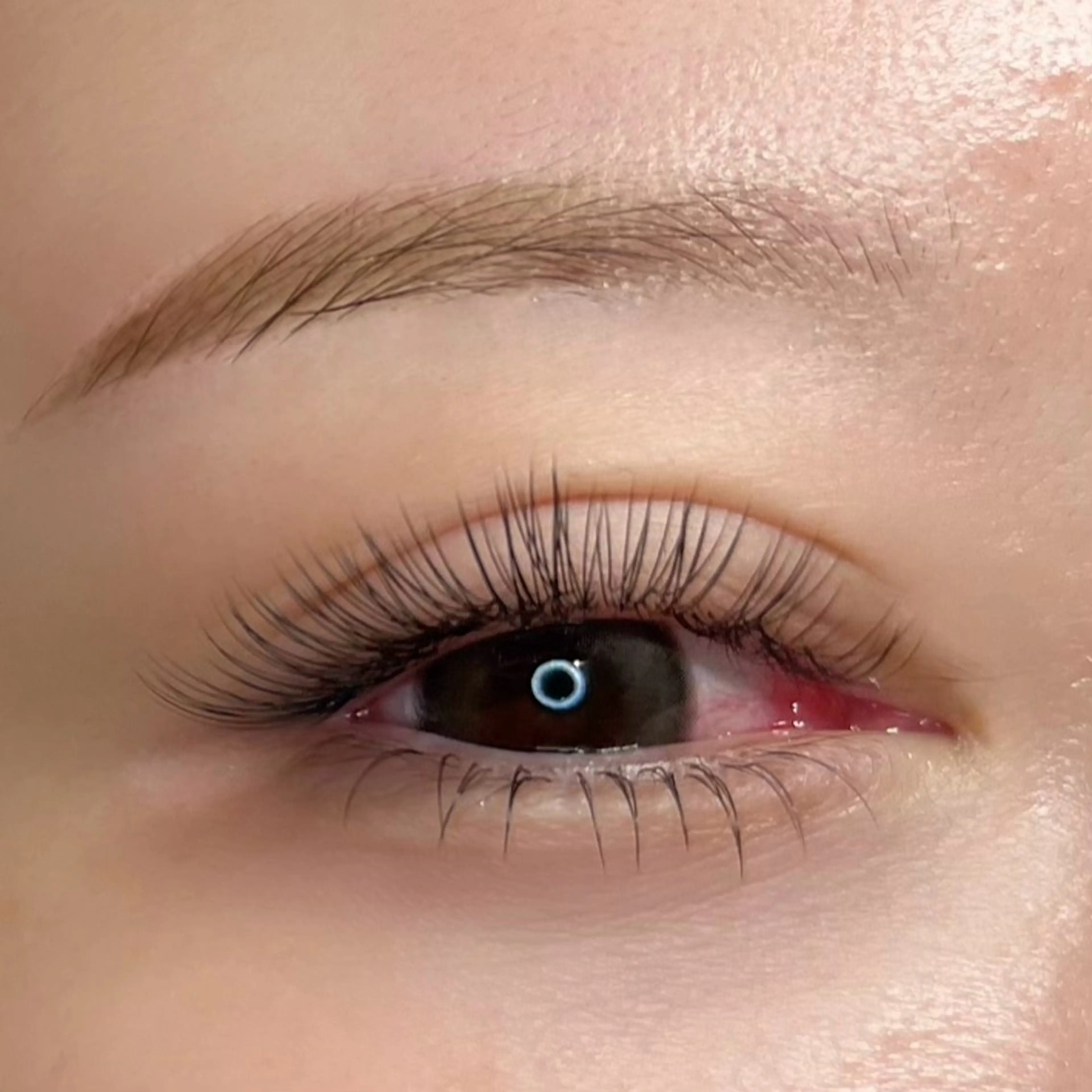 ラッシュアディクト付き🎀デザインキープラッシュ100束(200本)🦋₊⁺ 施術料金¥1000🥰の写真