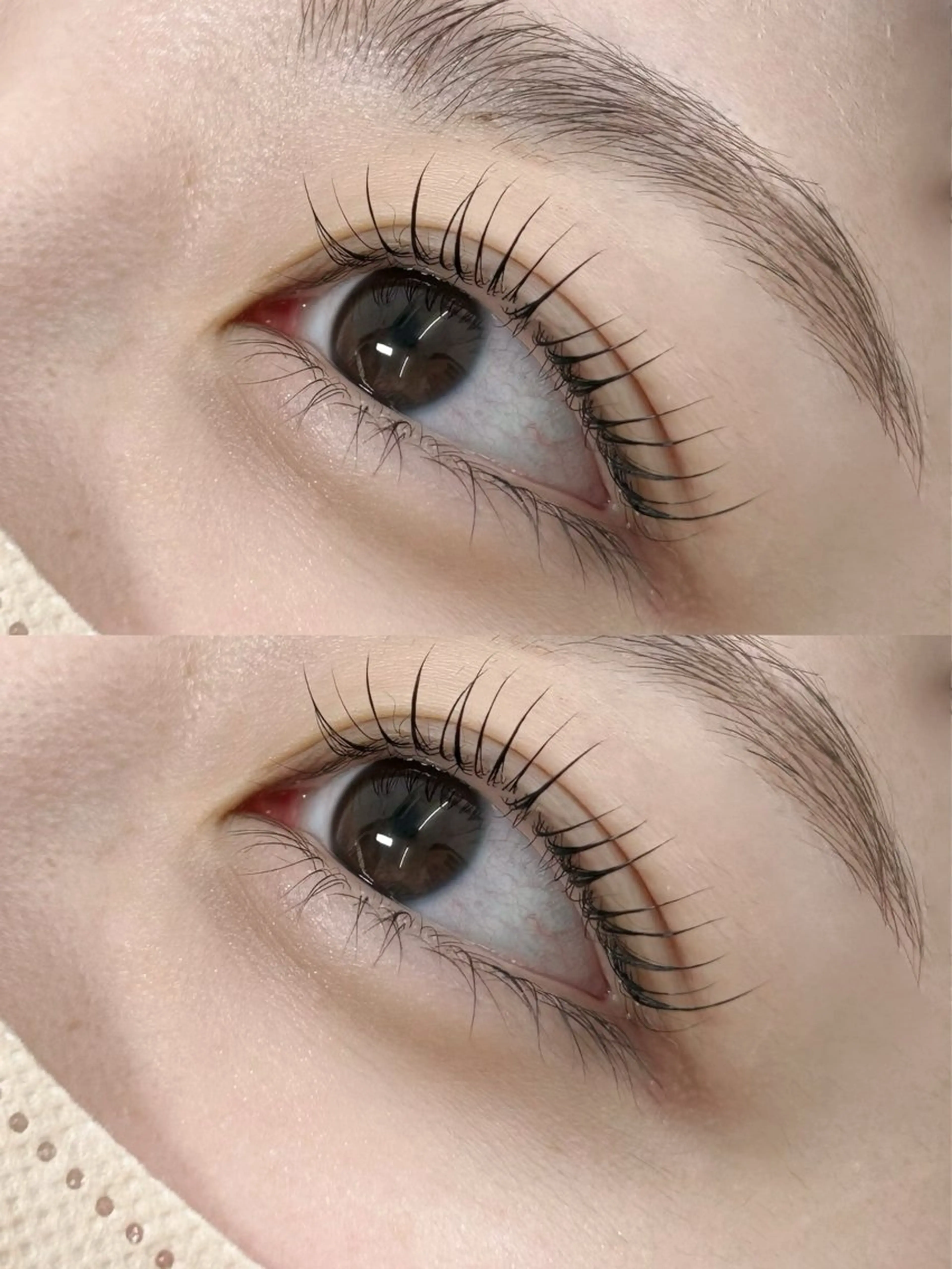 マツエク・マツパ LuLu / まつパ 🥀akaneのマツエク・マツパデザイン