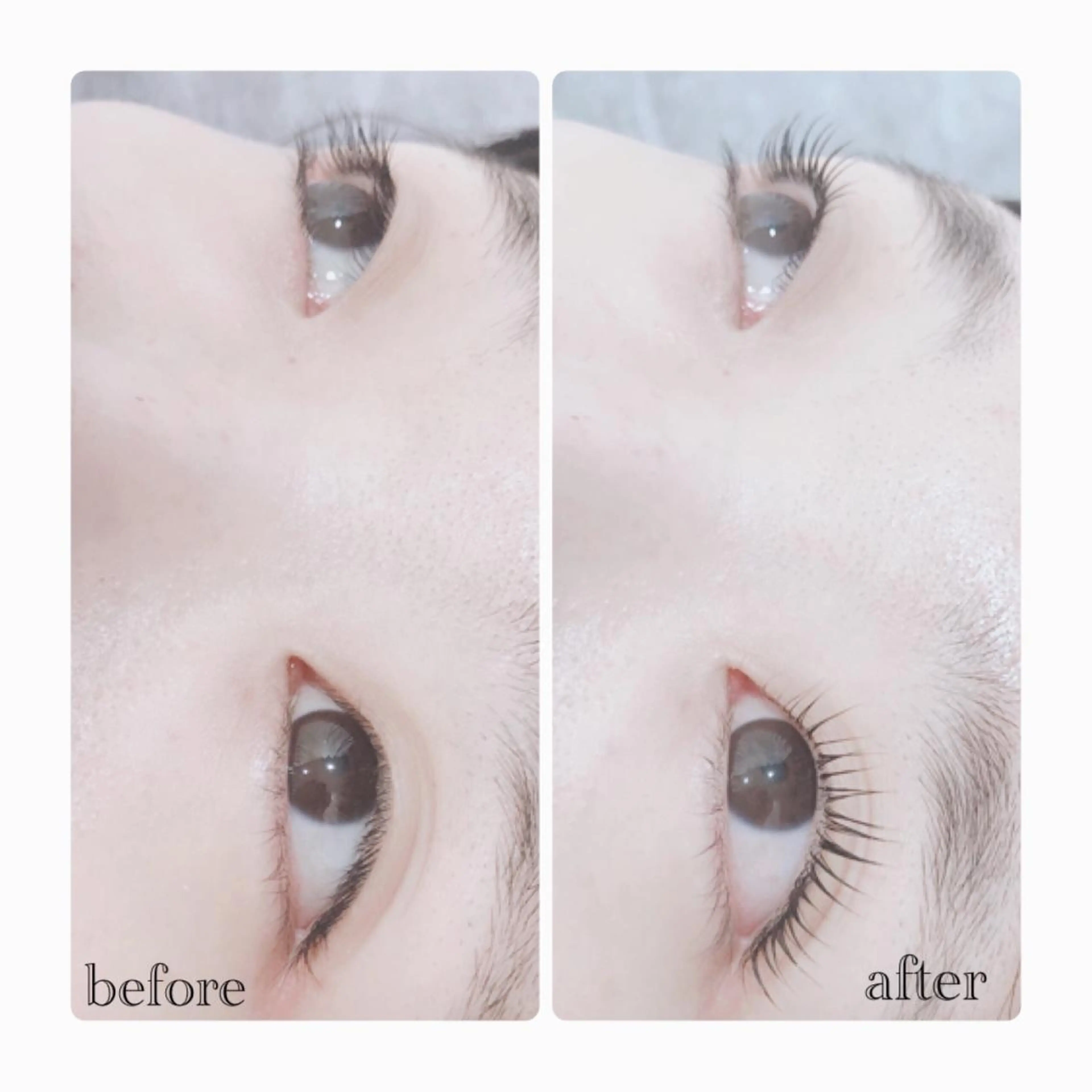 マツエク・マツパ ELLA 菊地のマツエク・マツパデザイン