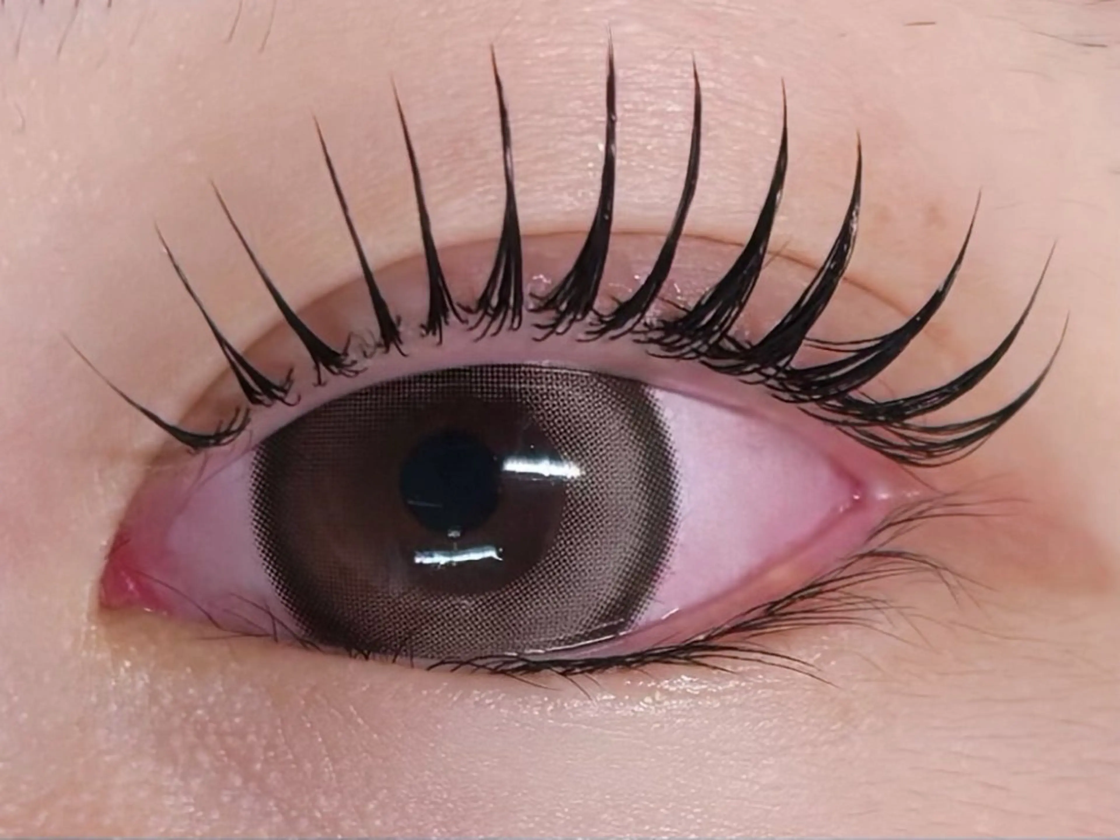 マツエク・マツパ マツパ emika 【ever天神店】のマツエク・マツパデザイン