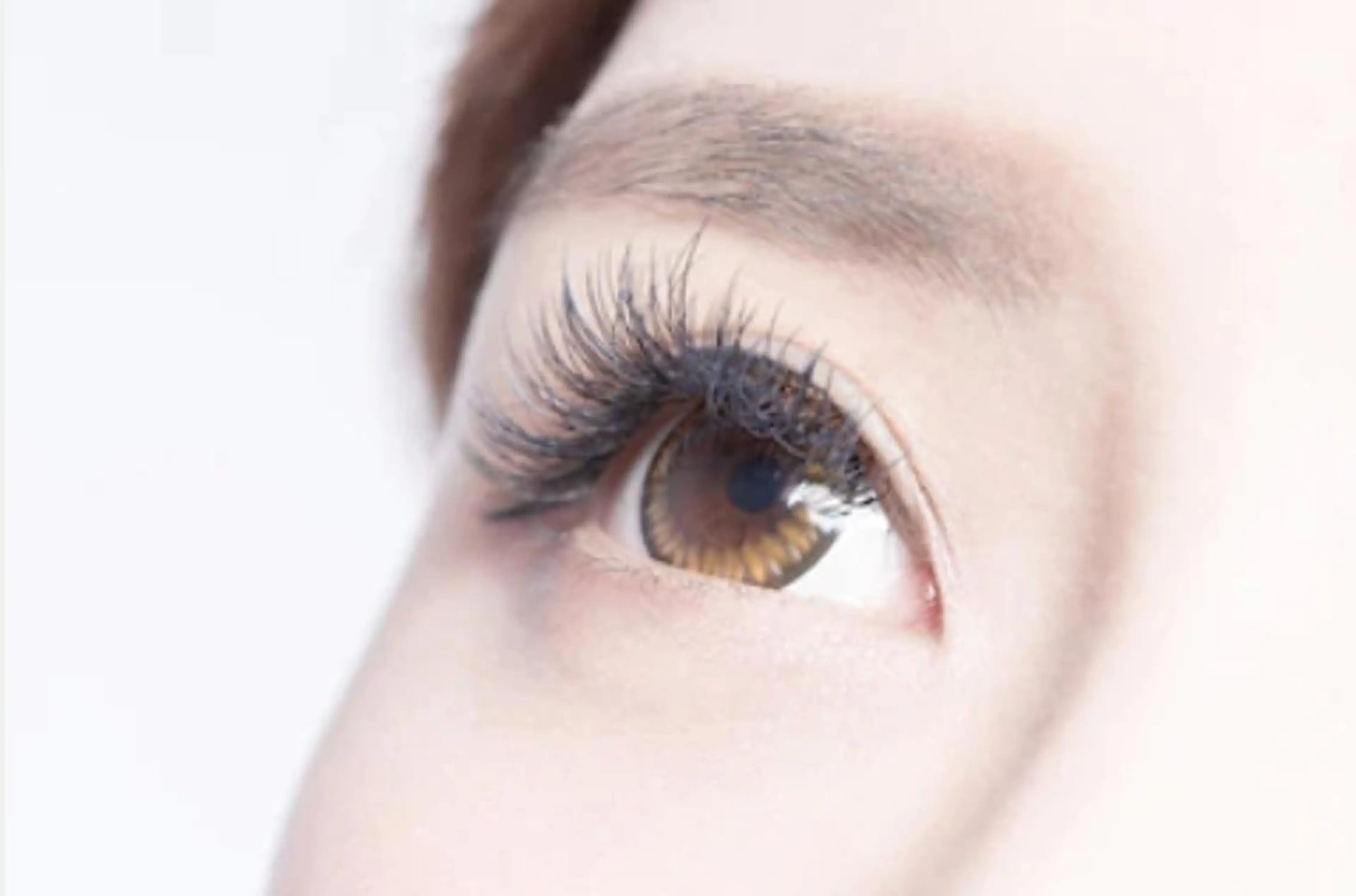 フラットラッシ120本の写真