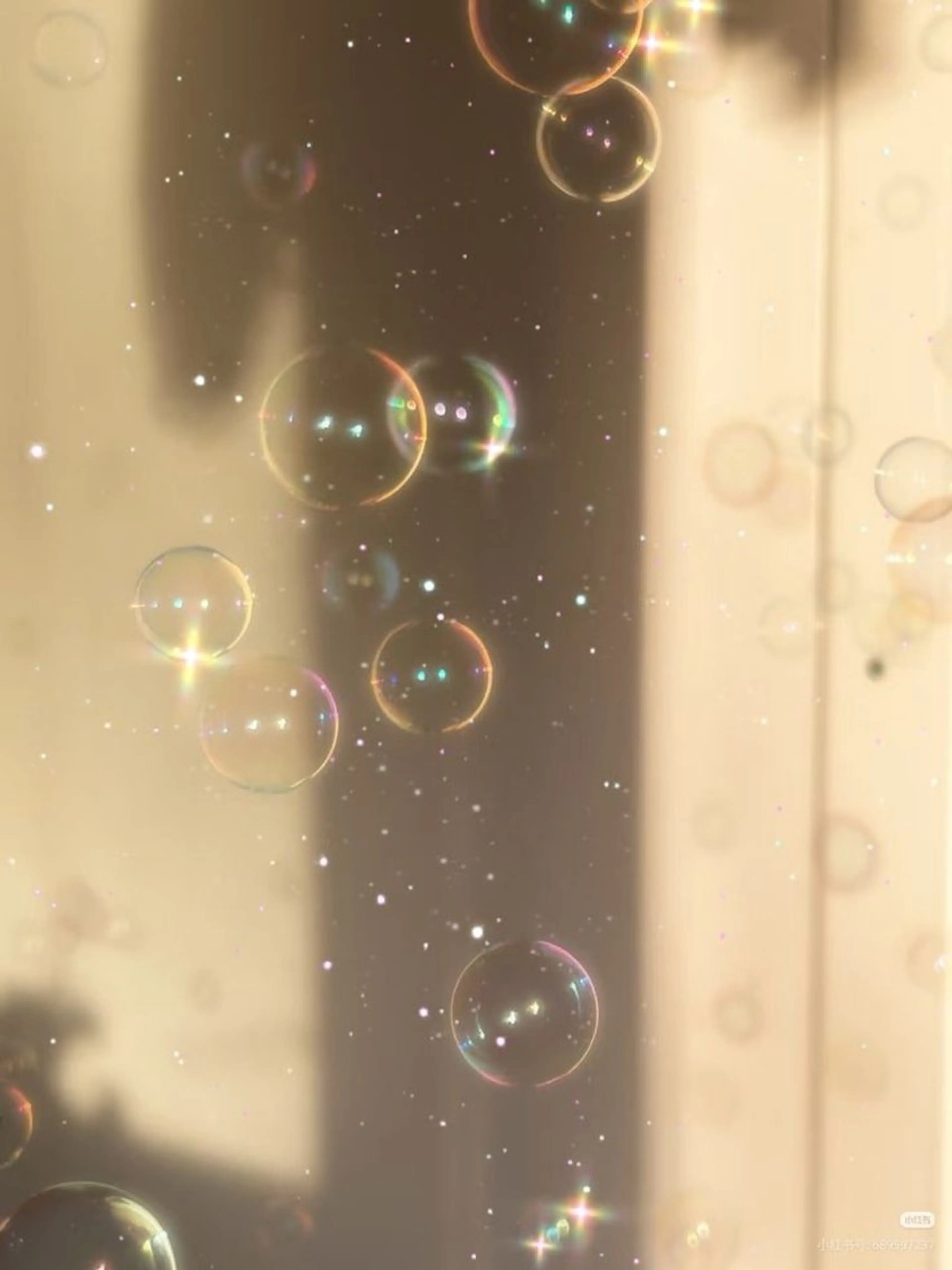 ネイル パラジェル専門サロン　Guleum【クルム】所属・Guleum🫧 nagisa🩰🌷のネイルデザイン