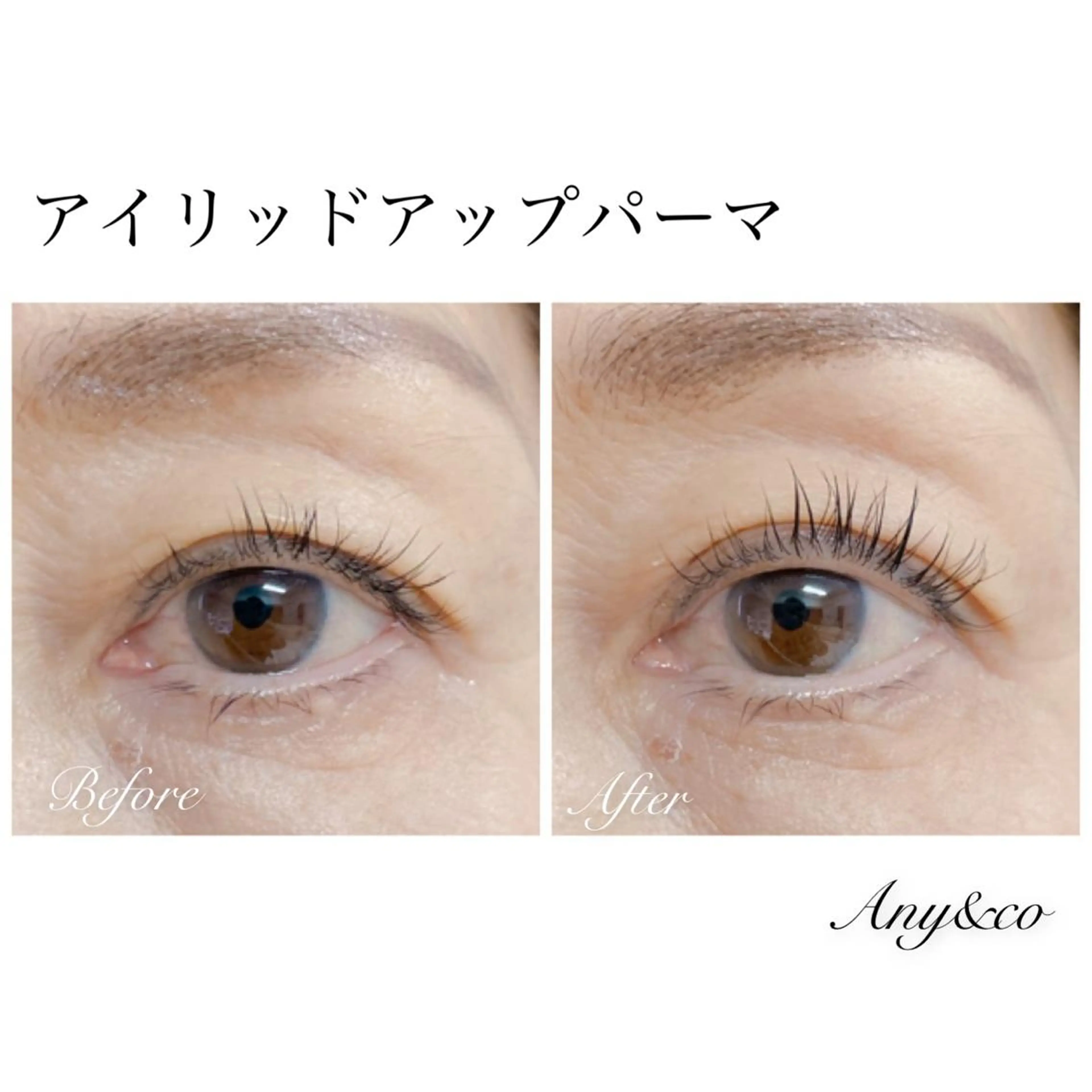 マツエク・マツパ アイリッドアップパーマ Any&co 【エニコ】のマツエク・マツパデザイン