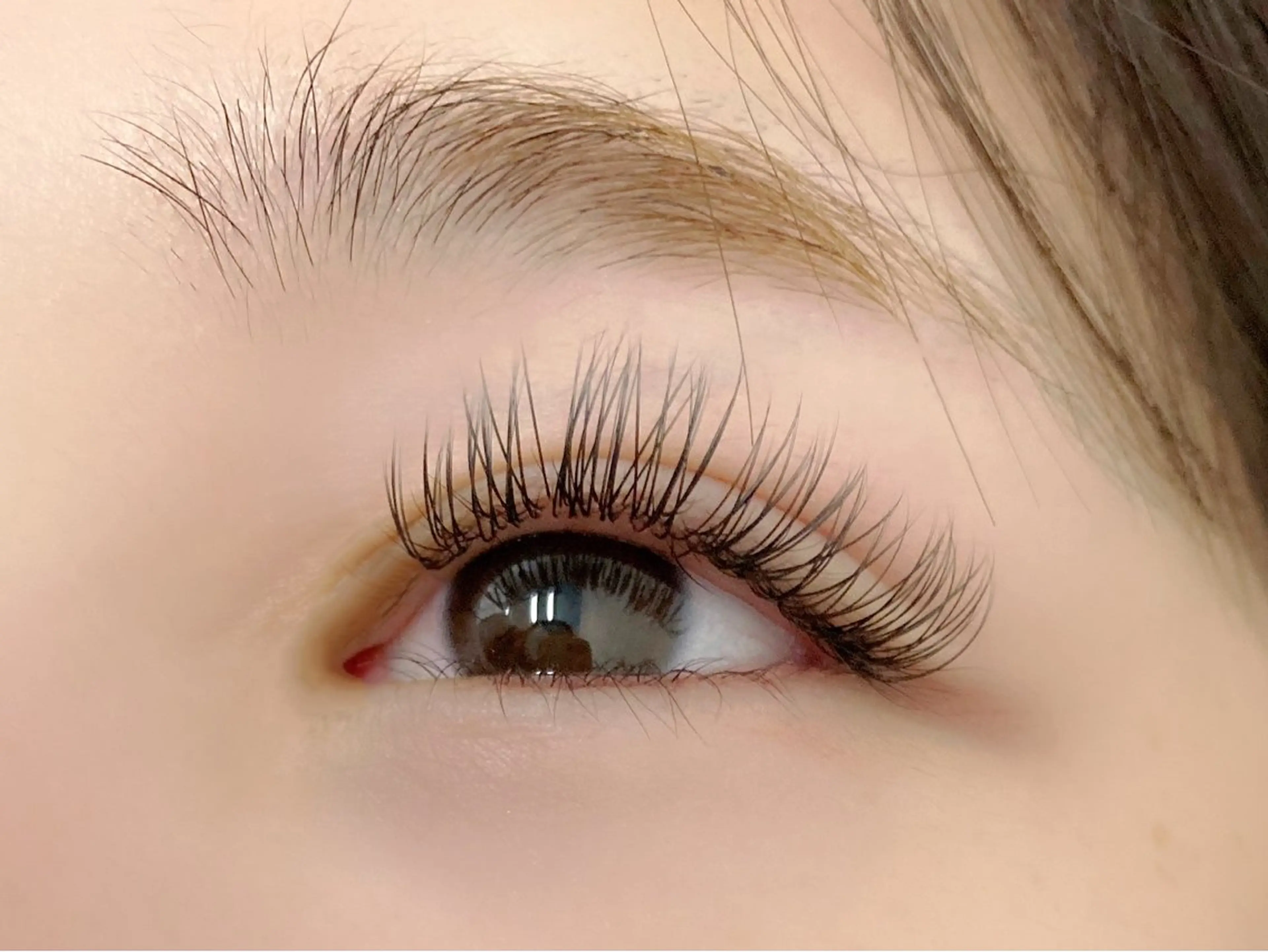 初めての方におすすめ☆最高級フラットラッシュエクステ100本(オフ込)の写真