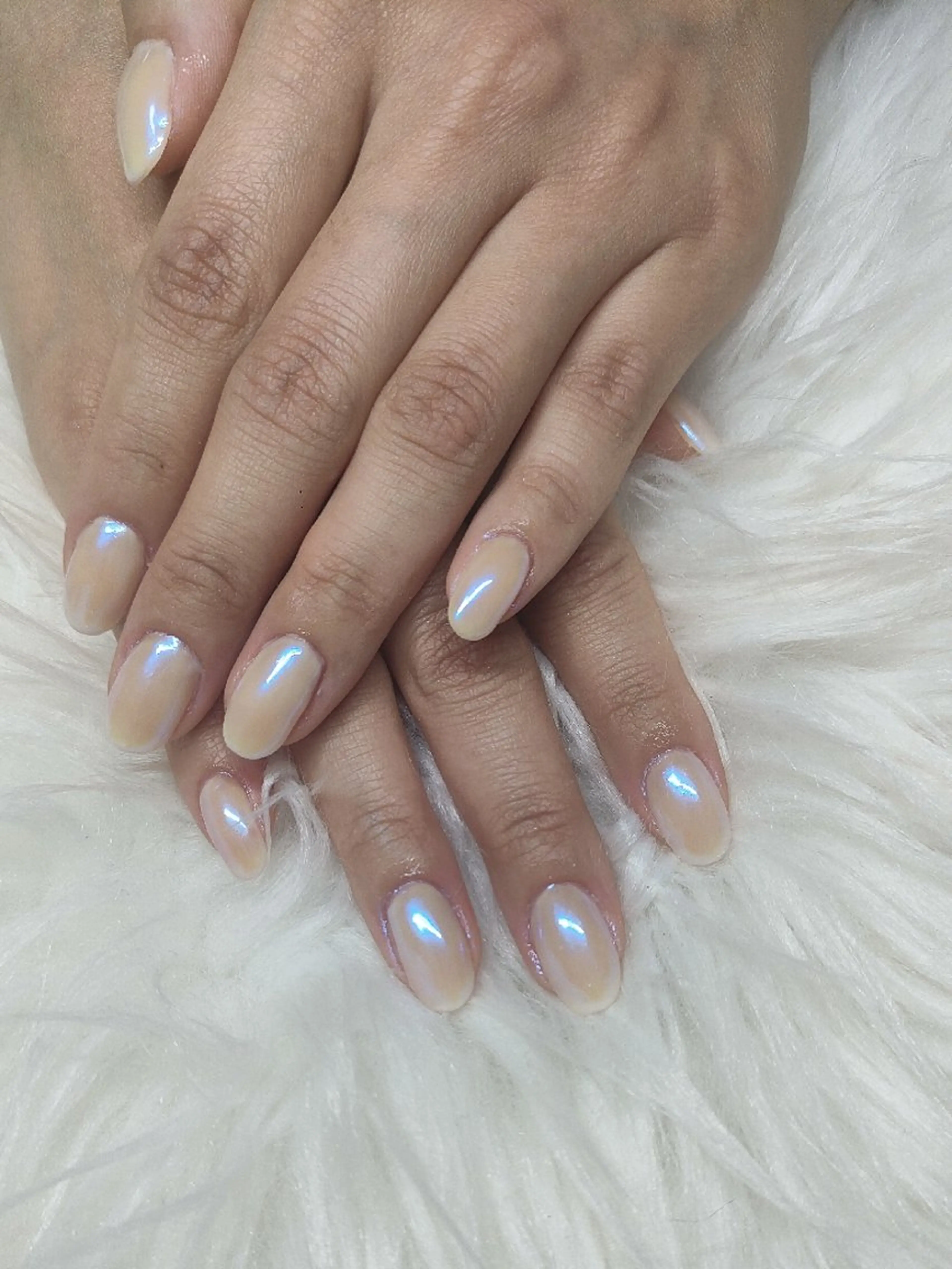 【Jrクーポン】マグネット、オーロラ、フレンチ、カラーグラデーションの写真