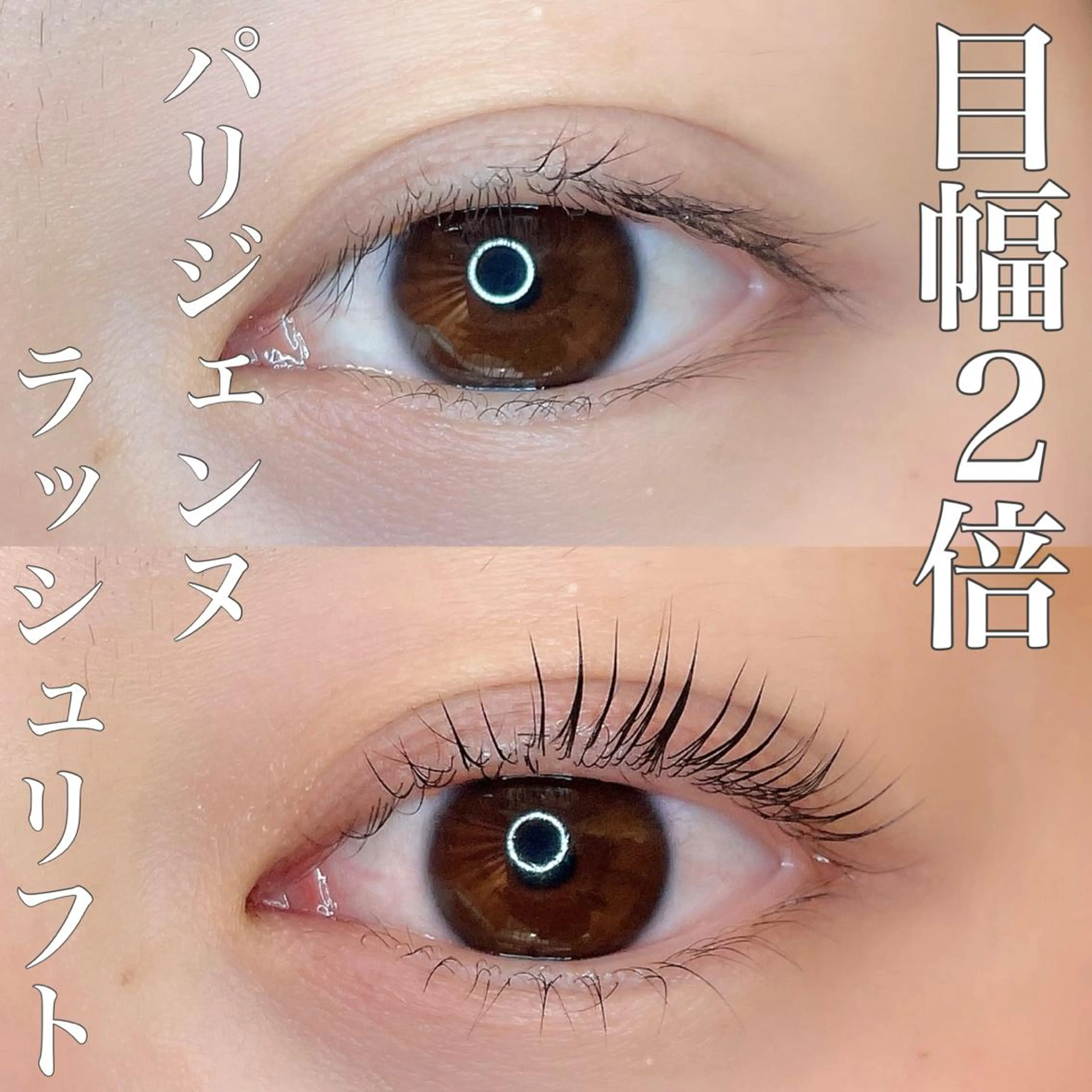 マツエク・マツパ パリジェンヌラッシュリフト eight eyelash池袋店のマツエク・マツパデザイン