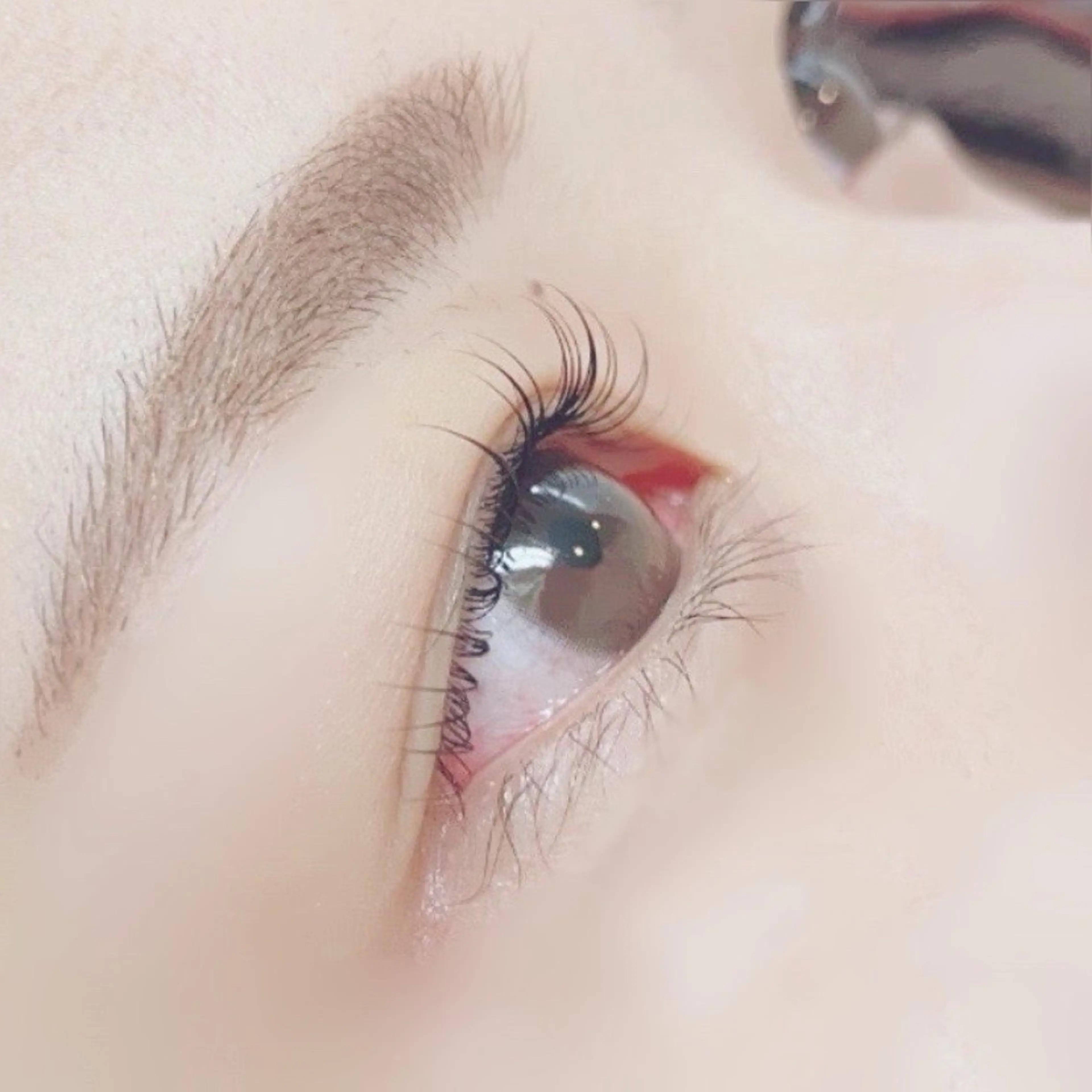 毛質改善🧸🪄トリートメントまつ毛パーマ🔮ケラチン配合【初回​〜​3回目まで】の写真