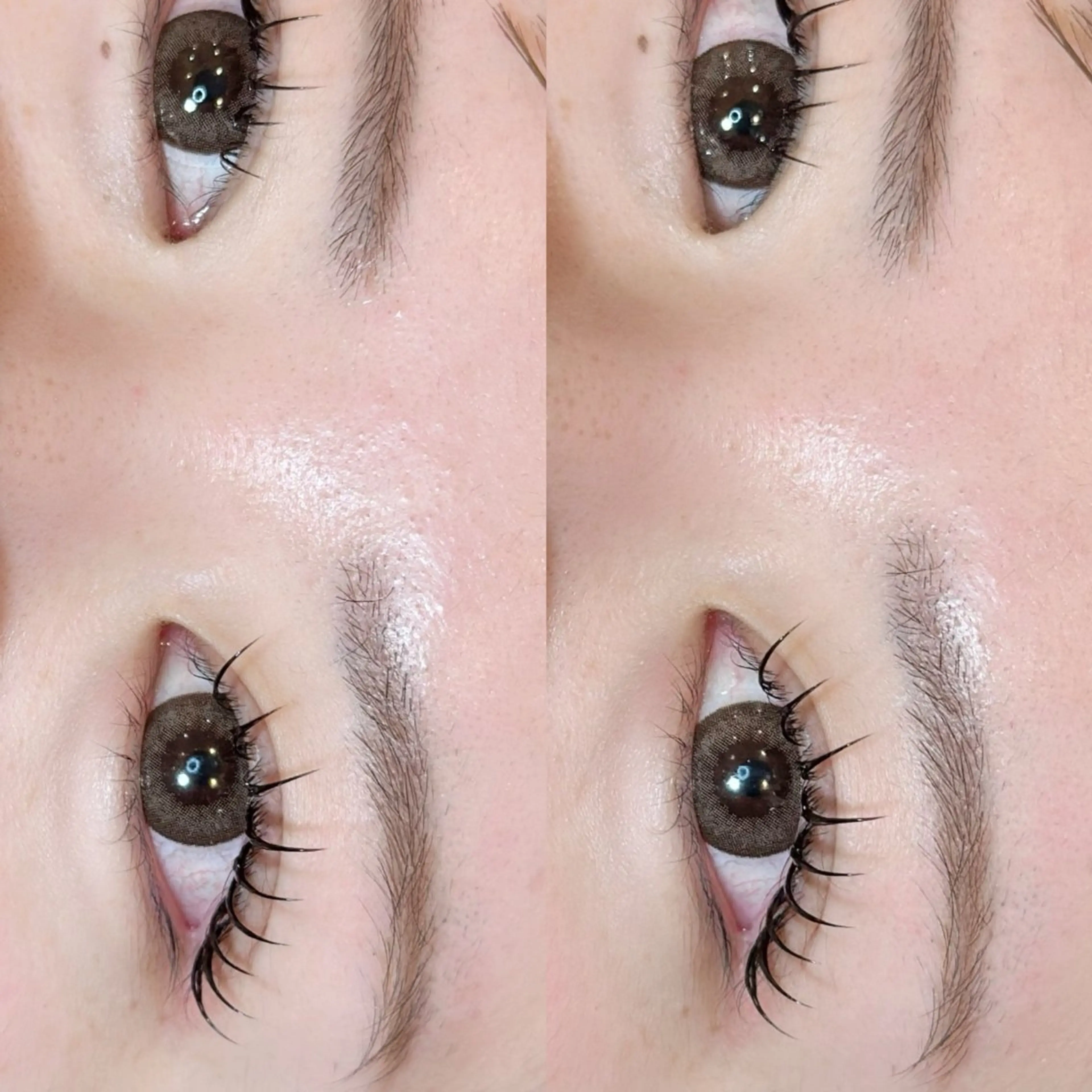 マツエク・マツパ Ray 浜線店 大道のマツエク・マツパデザイン