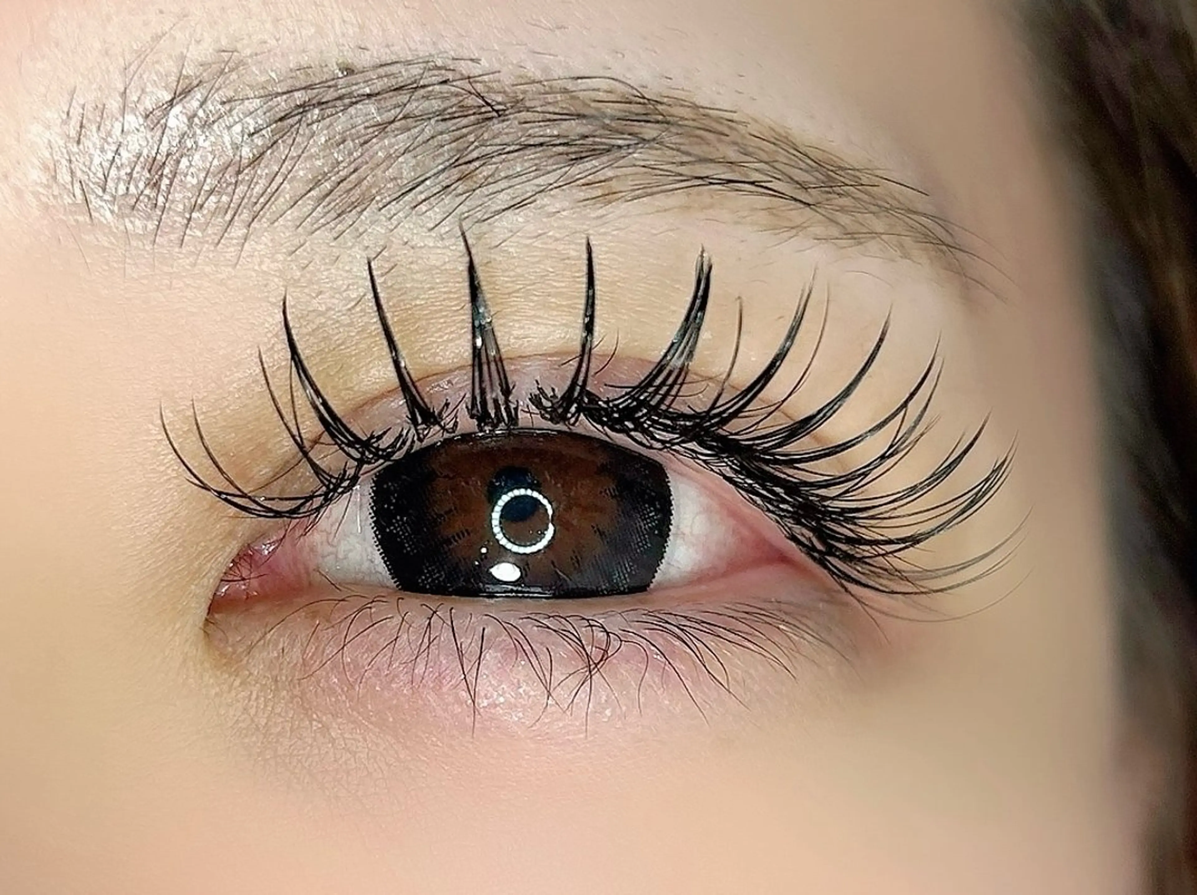 マツエク・マツパ Dカール マツエク apopi's所属・真夜中のまつ毛 APOPI'Sのマツエク・マツパデザイン