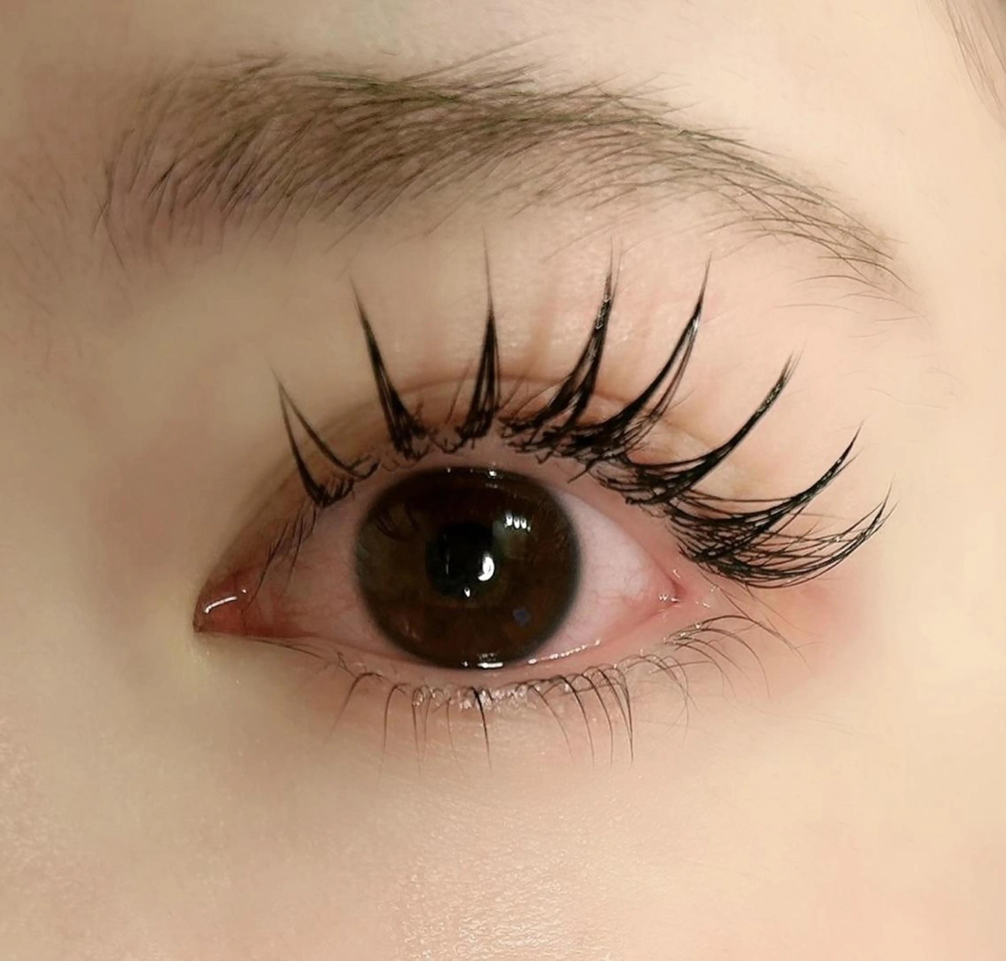 マツエク・マツパ ROAR💠 hujiのマツエク・マツパデザイン