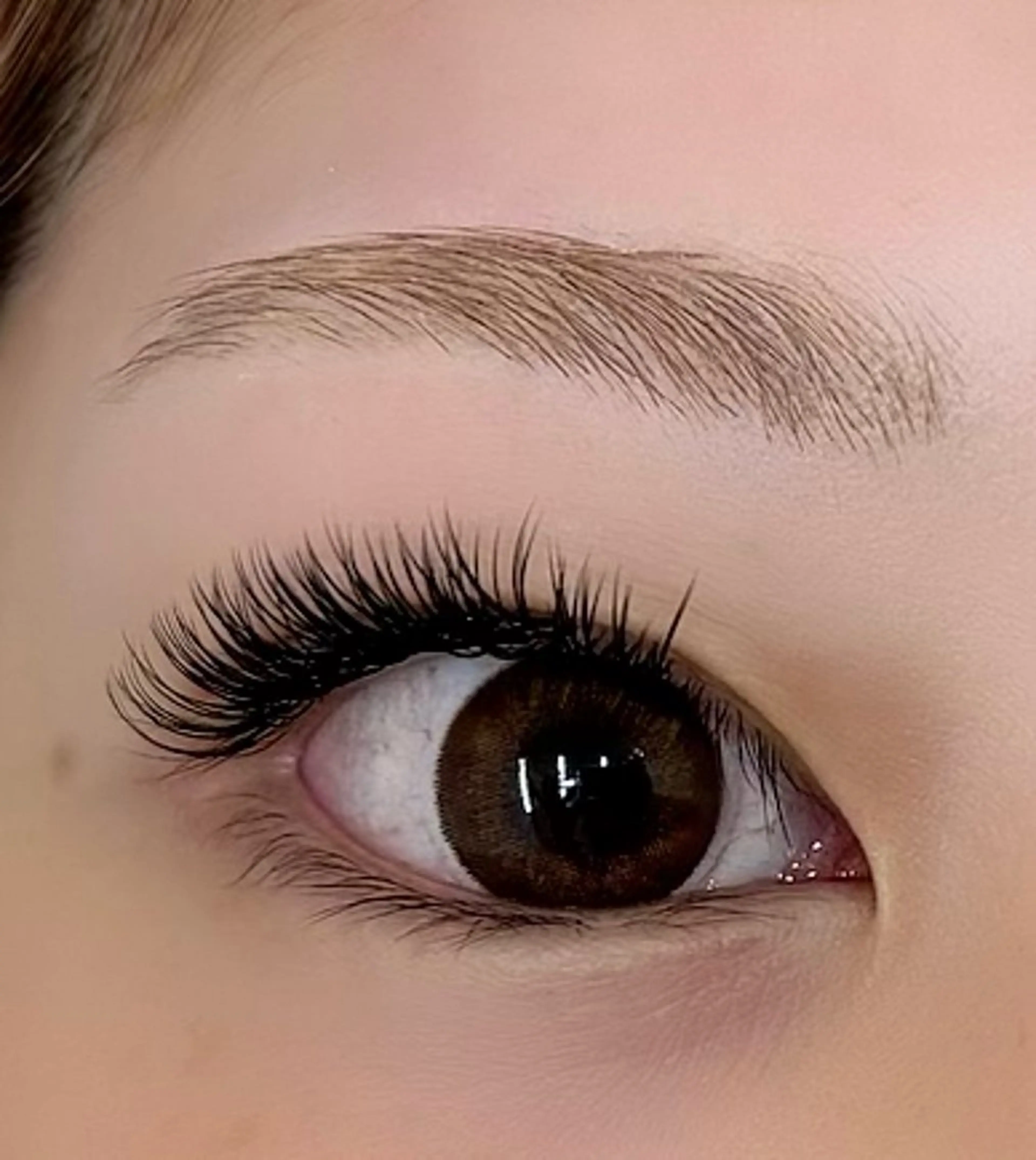 ダブルフラットラッシュ80束🌼長く続くボリューム✨根本強化剤付き🪄の写真