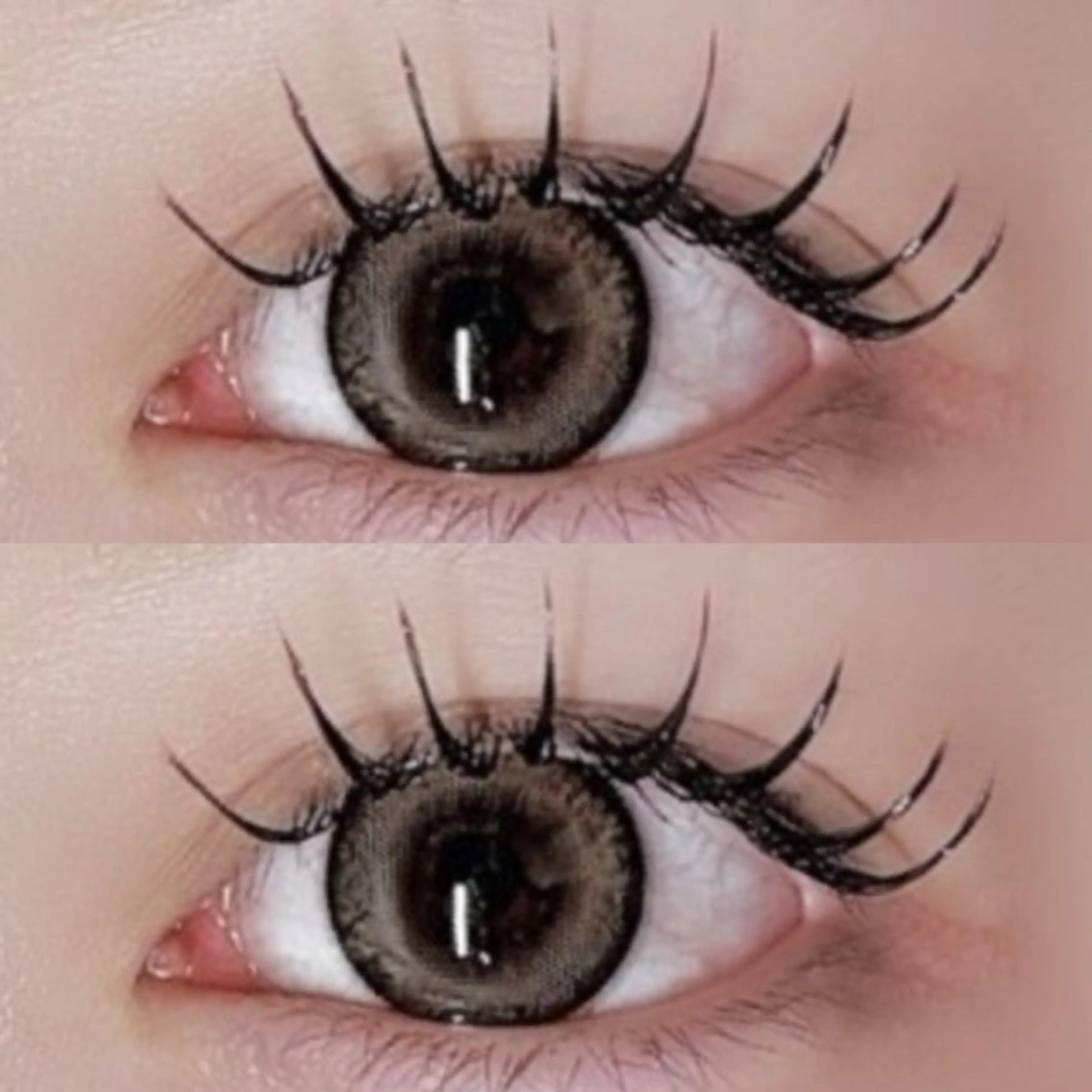 フラットラッシュ80本の写真