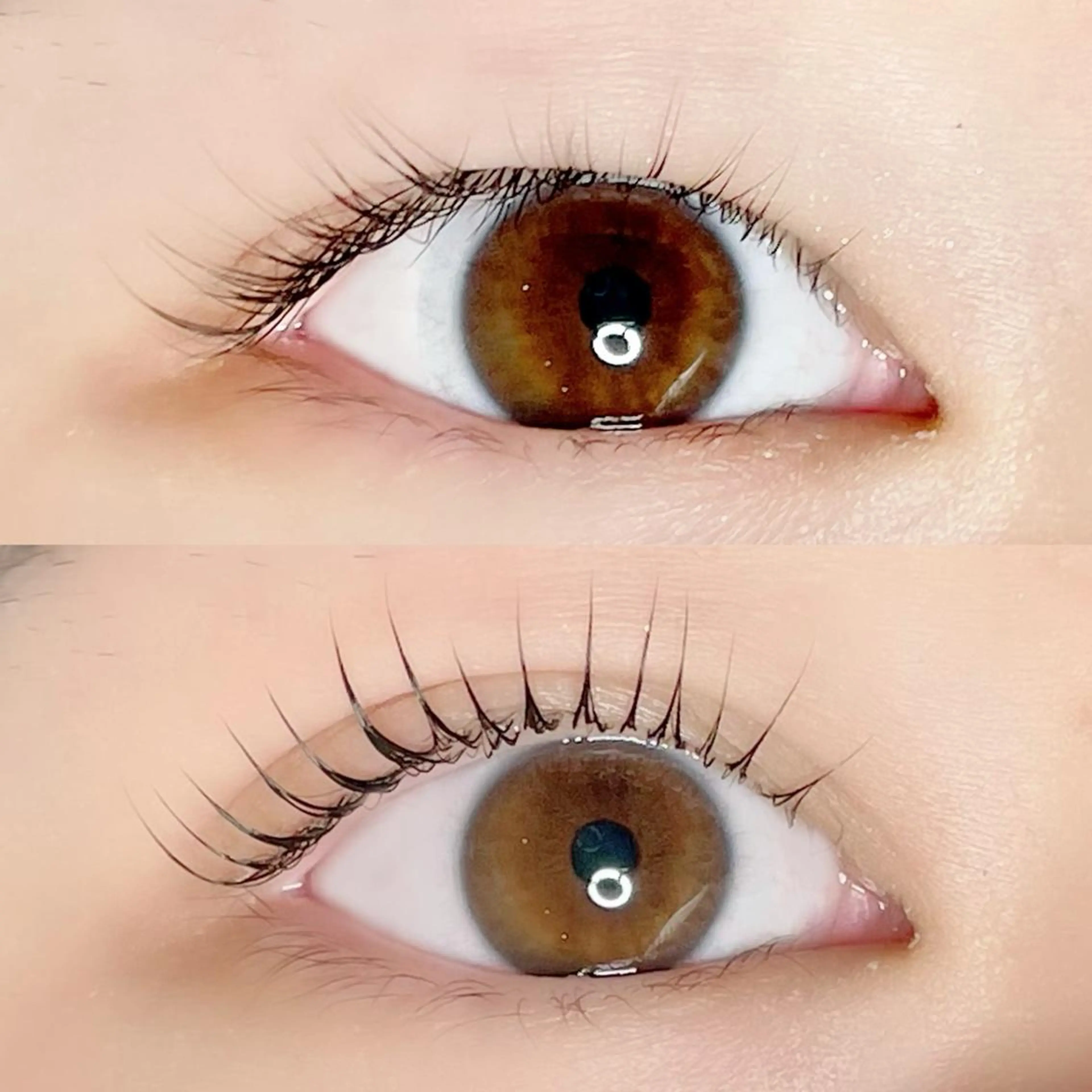 マツエク・マツパ マツパ AYLASH🧡 猪又のマツエク・マツパデザイン