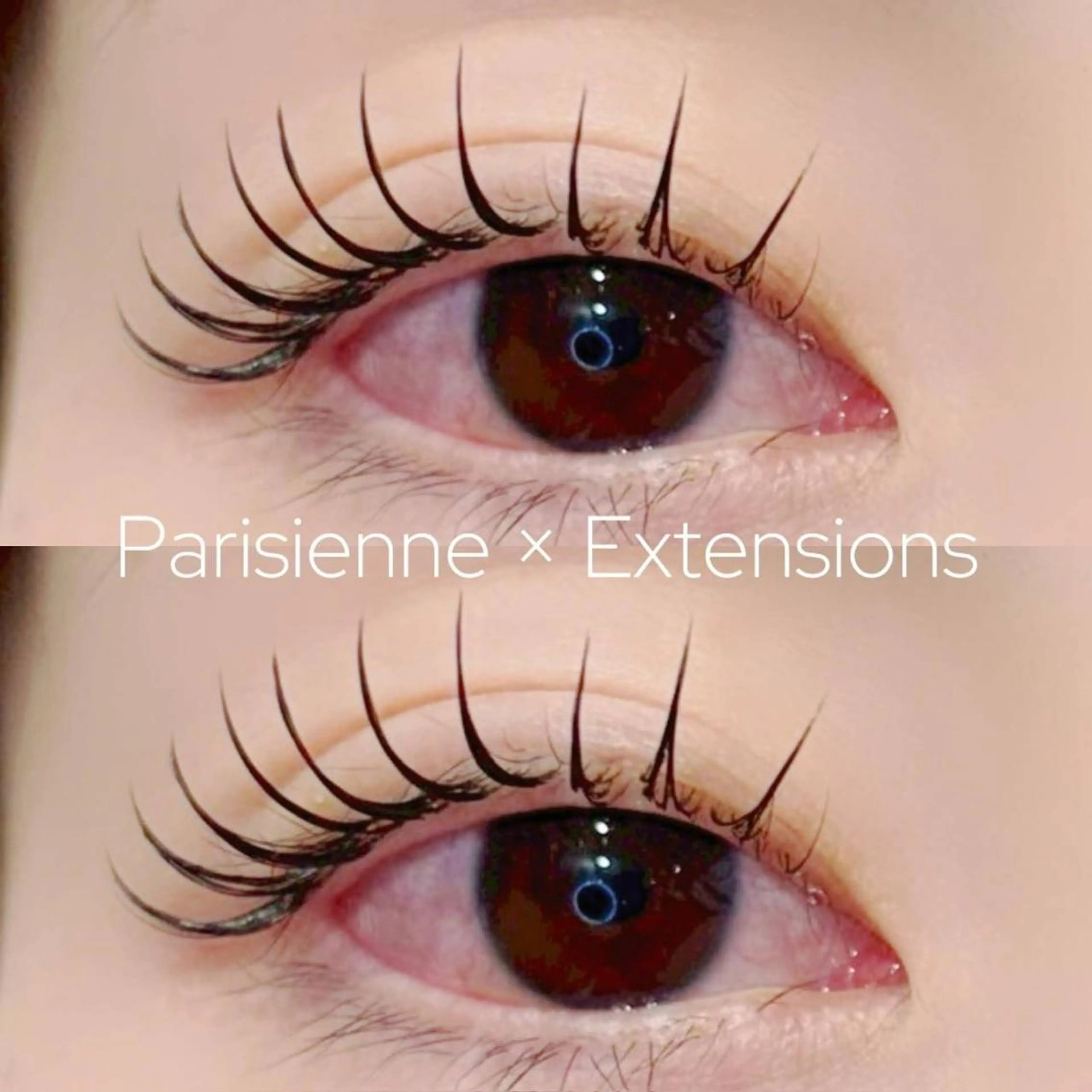 ✨自然なカール✨Cカール✨【ラッシュリフト】+【コーティング】の写真