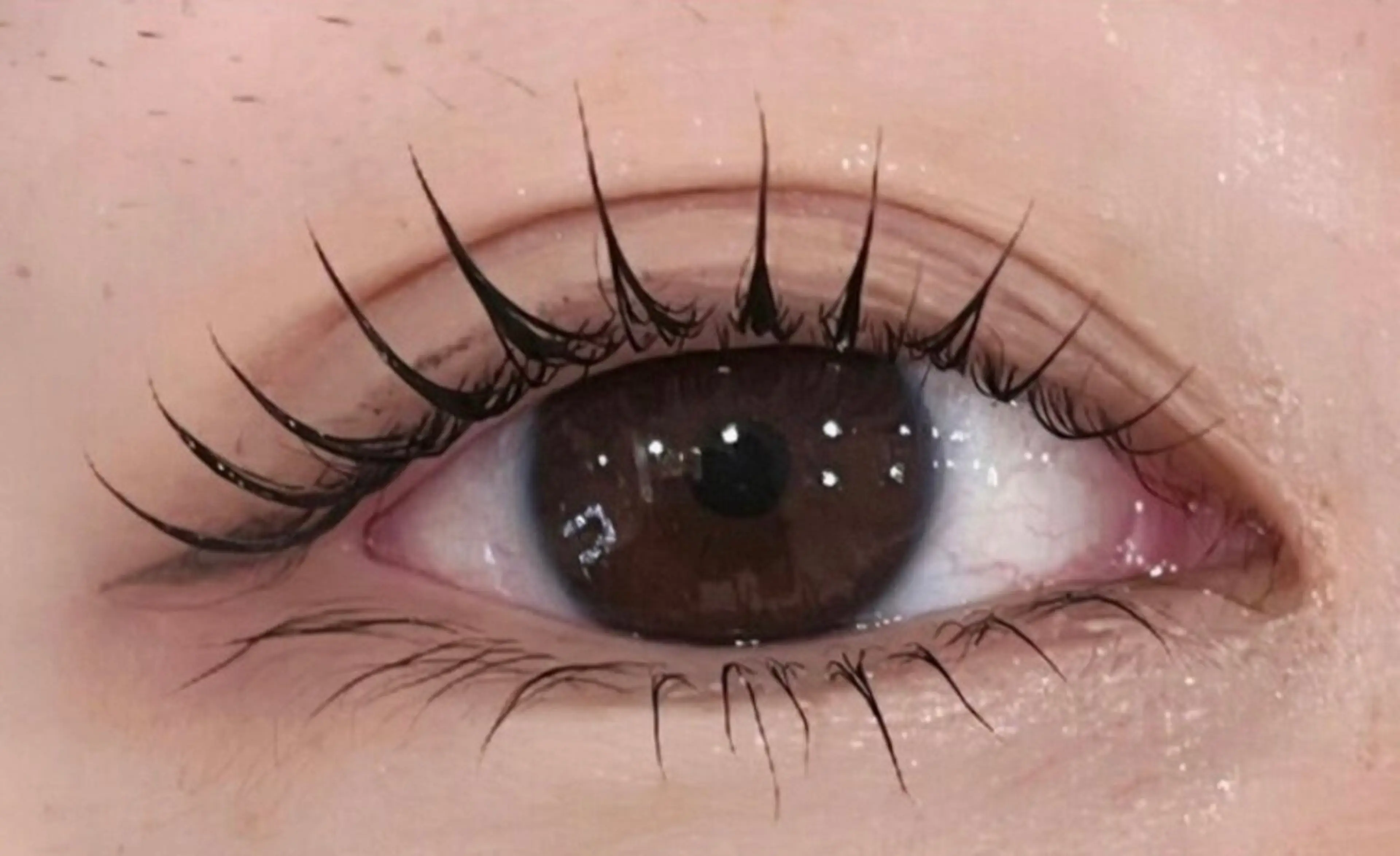 マツエク・マツパ マツエク アレグレス所属・アレグレス@池袋 🌹大人気店🌹のマツエク・マツパデザイン