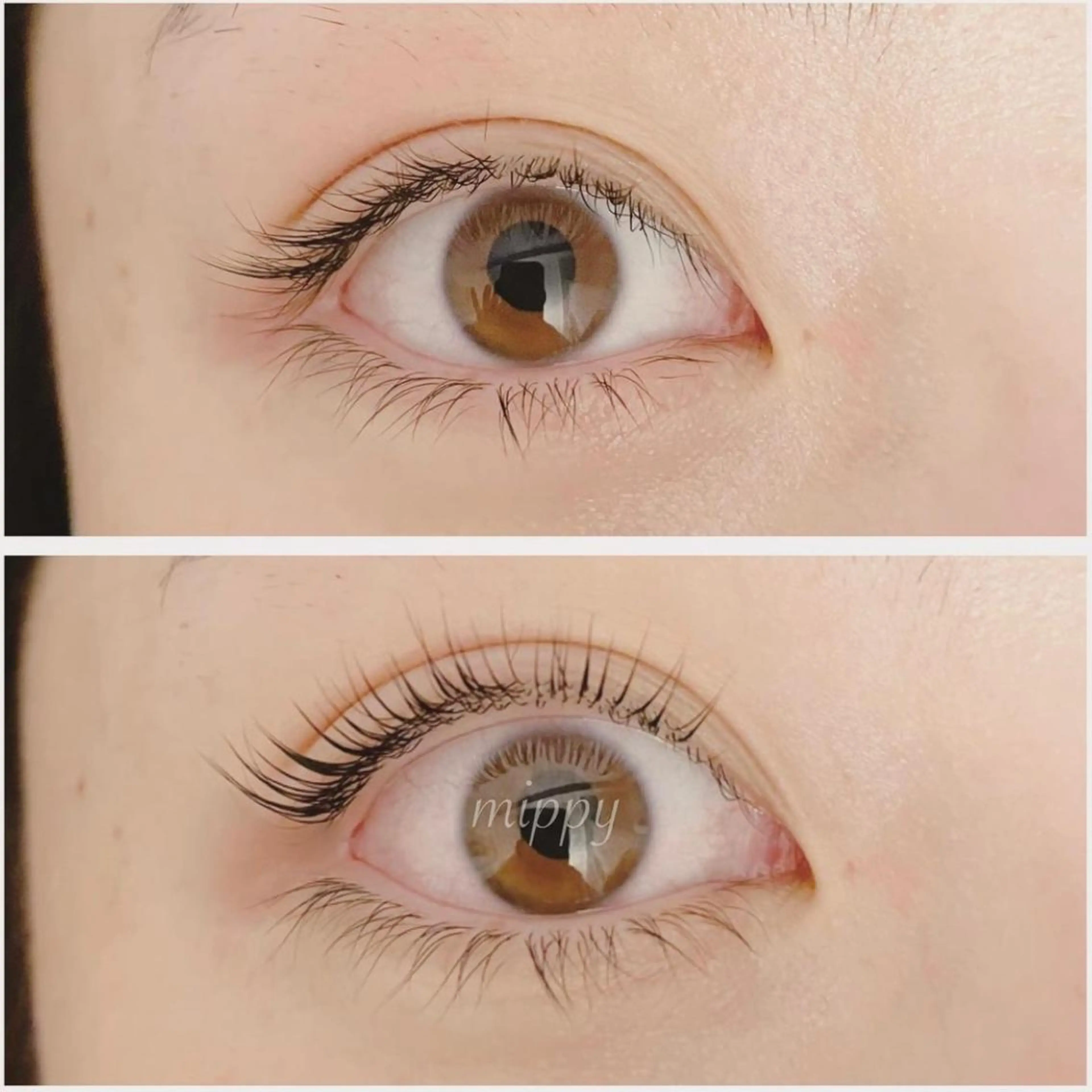 マツエク・マツパ ｍｉｐｐｙ 🪽のマツエク・マツパデザイン