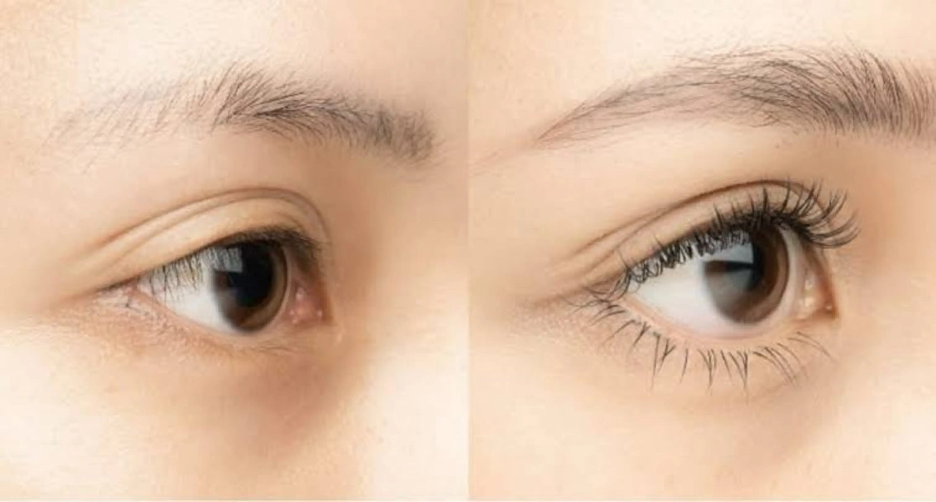 マツエク・マツパ マツエク SEGAWA HARUKAのネイルデザイン