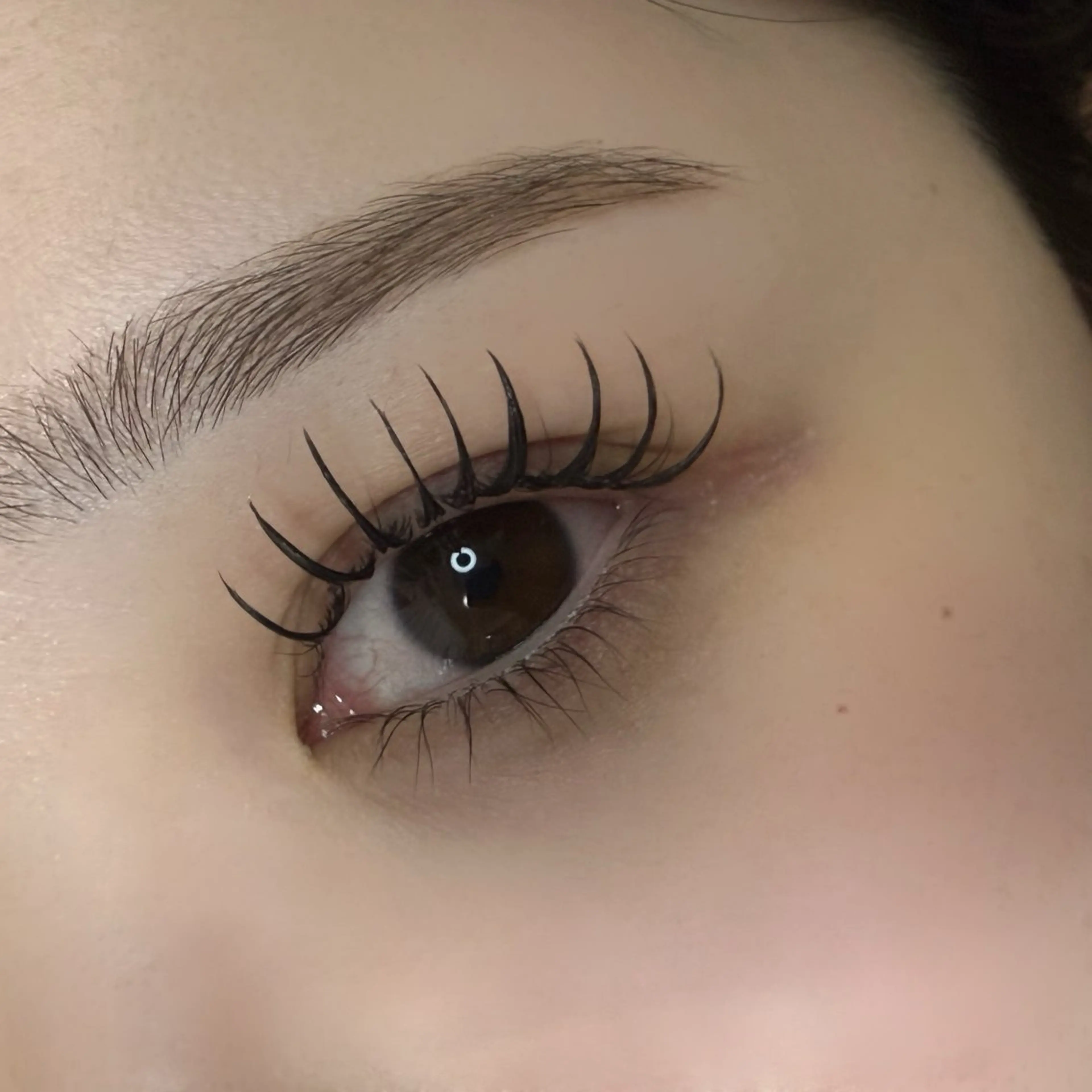 10月・11月・12月限定〈&healthy〉アンドヘルシー×flatlash 100の写真