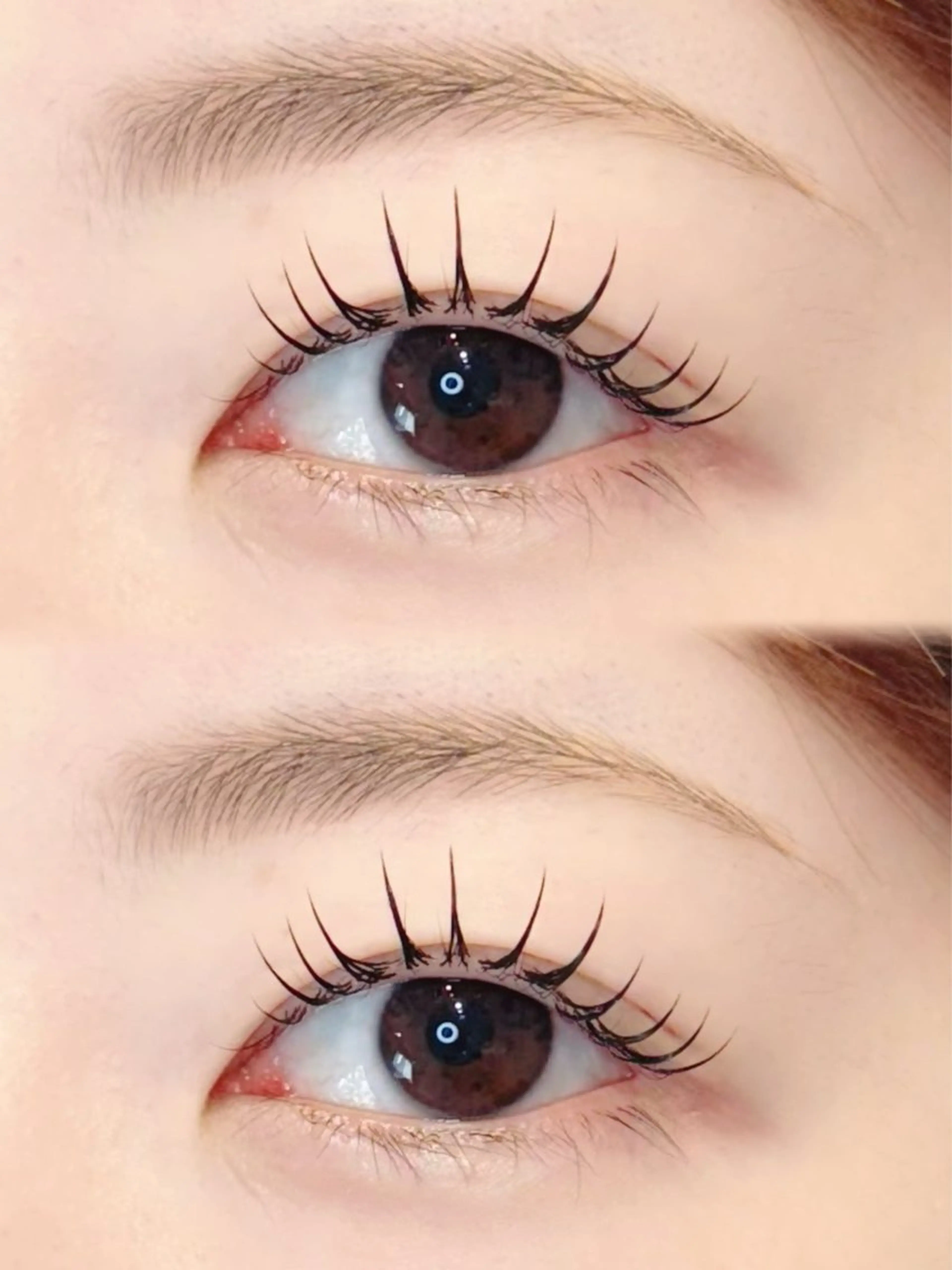 パリエク100本（フラットラッシュ）の写真