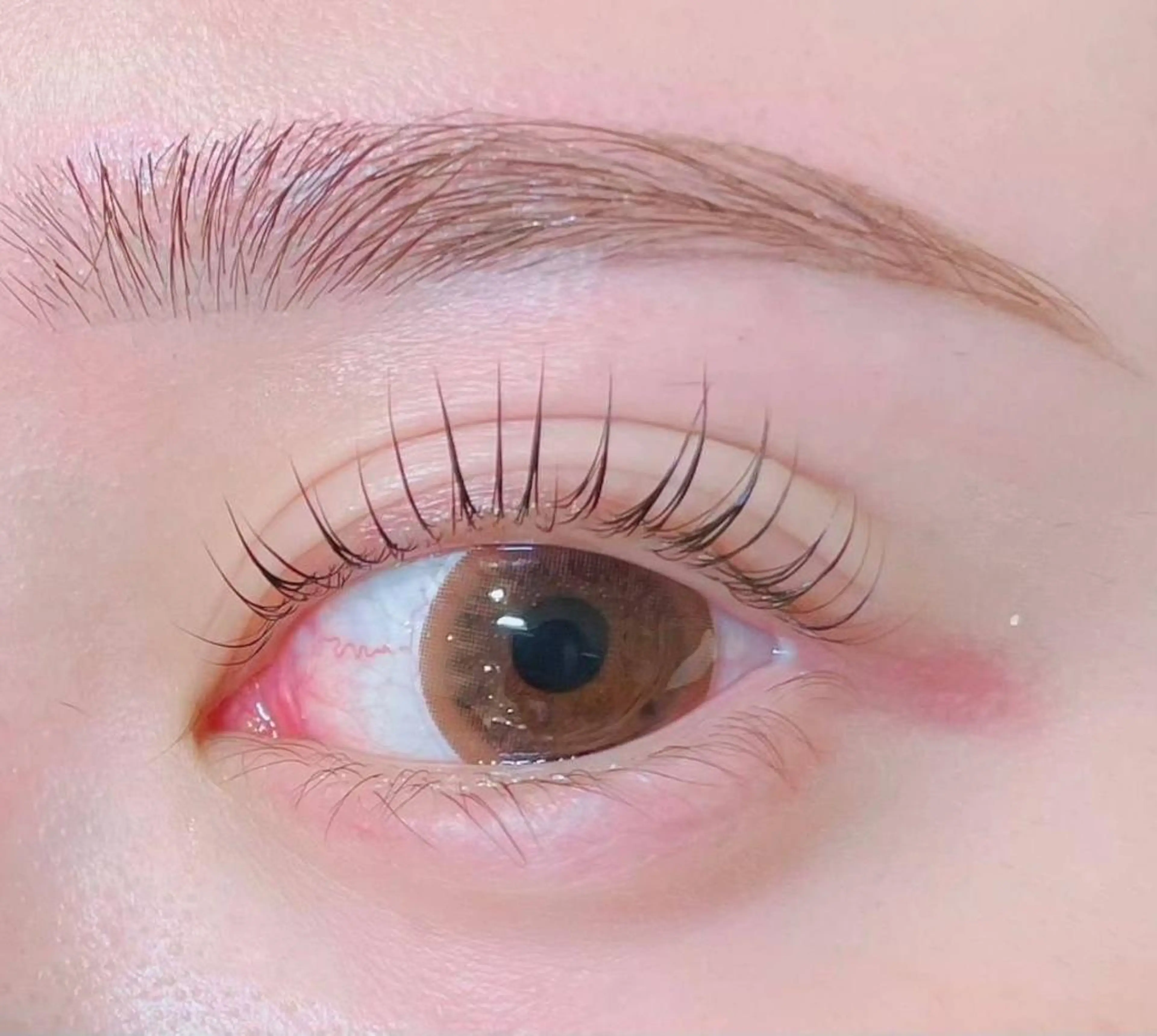 マツエク・マツパ アイブロウ 🥀Saito Tomomi🥀のマツエク・マツパデザイン