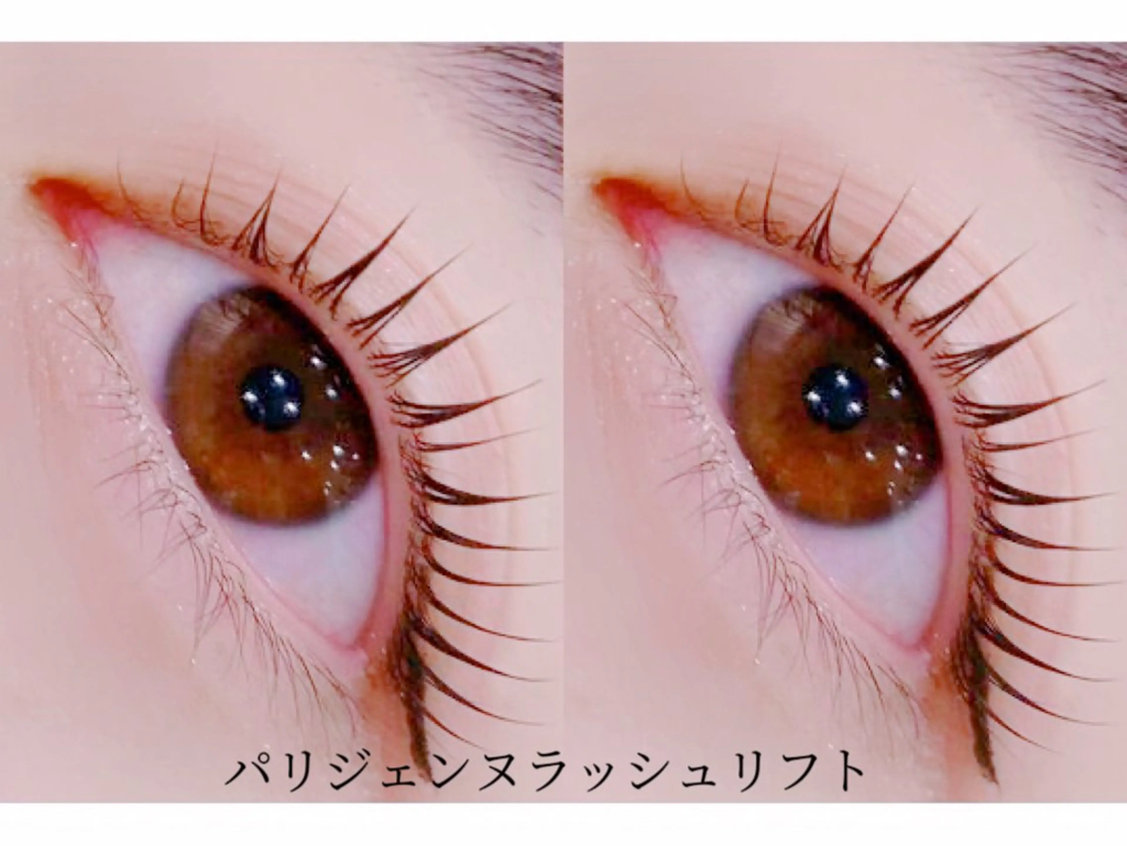 ❗️1/7限定❗️まつ毛パーマorパリジェンヌorメーテル🦋‪コーティング付き🦋‪（1時間程度）の写真