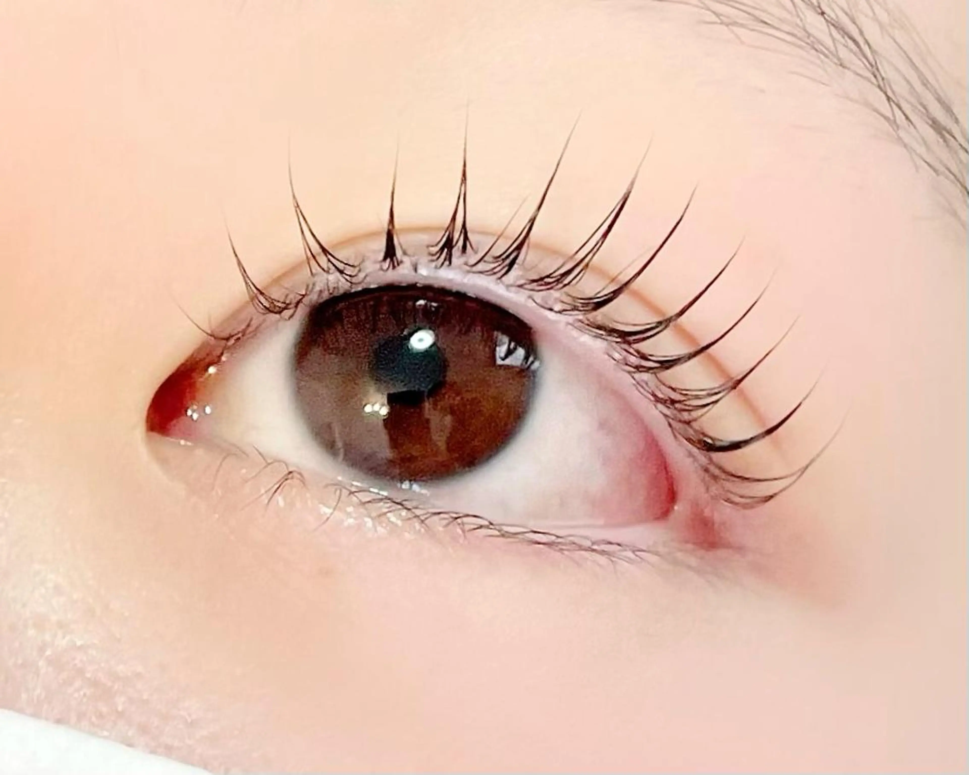 学割✨学生さん限定✨まつげパーマ《上まつげ》🌟しっかり立ち上げ・パリジェンヌ・くるんとカールもご相談ください♪の写真